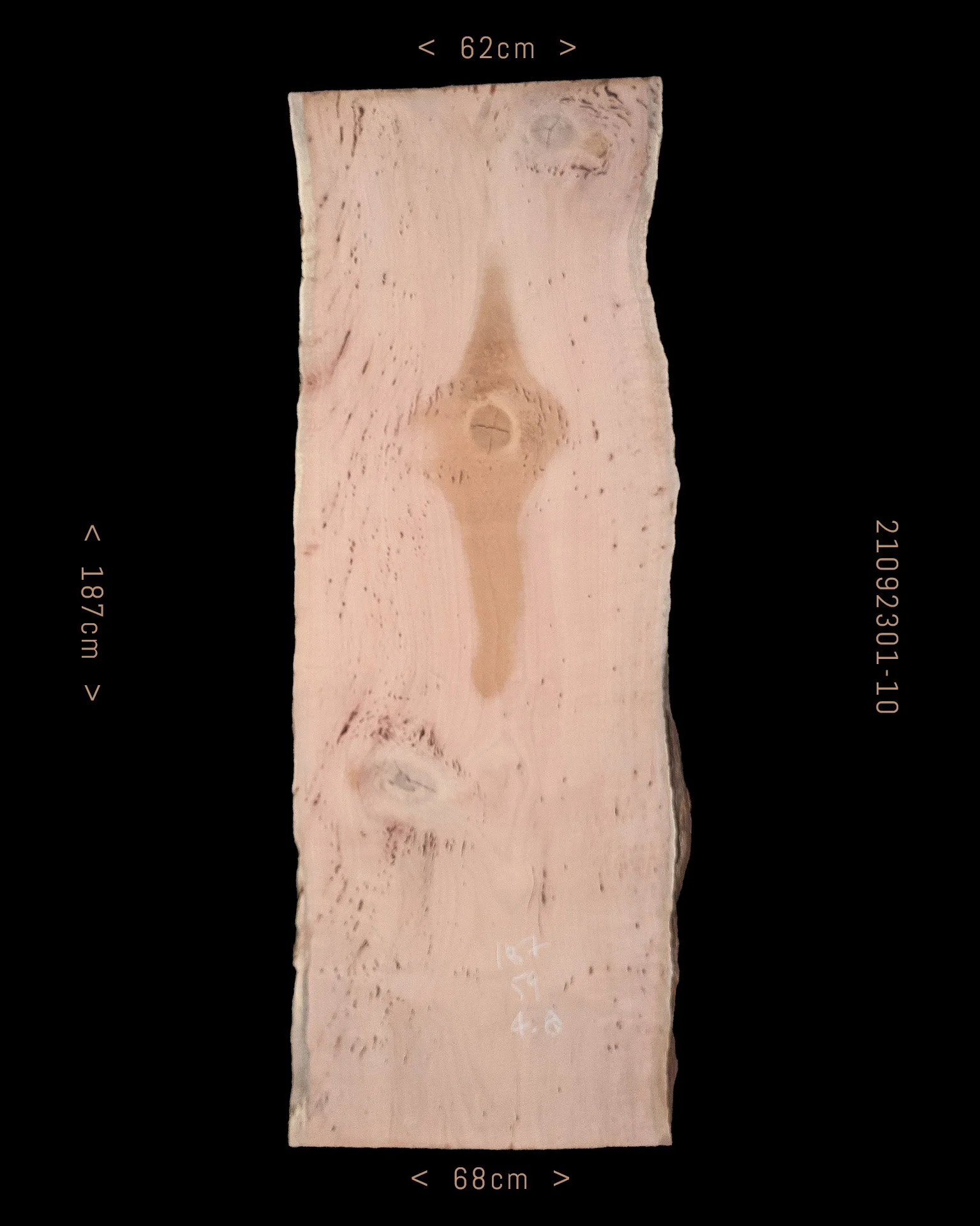 Silky Oak  |  Sale Price $475
