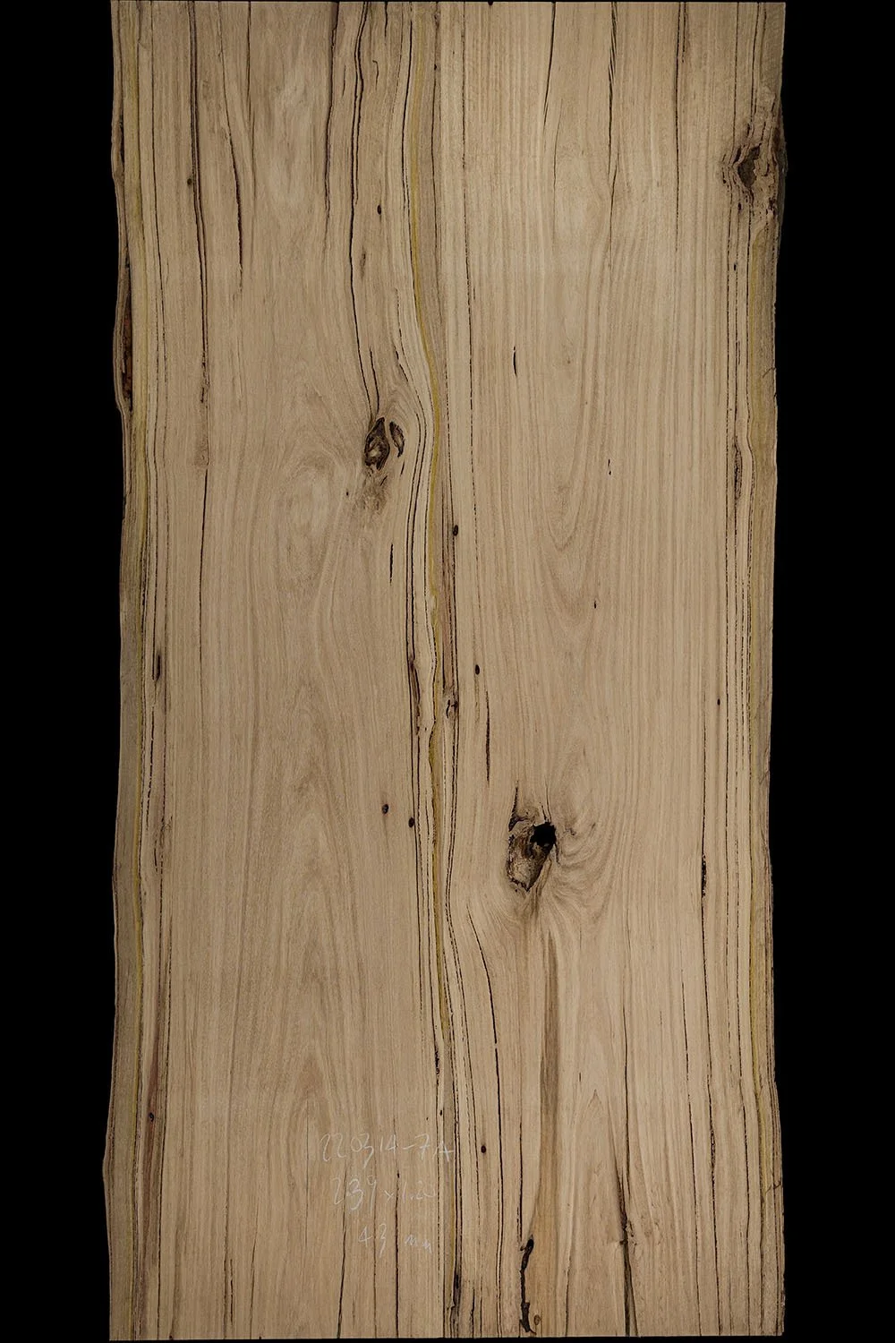 A large, natural timber slab with visible grain patterns, knots, and imperfections, isolated on a black background.