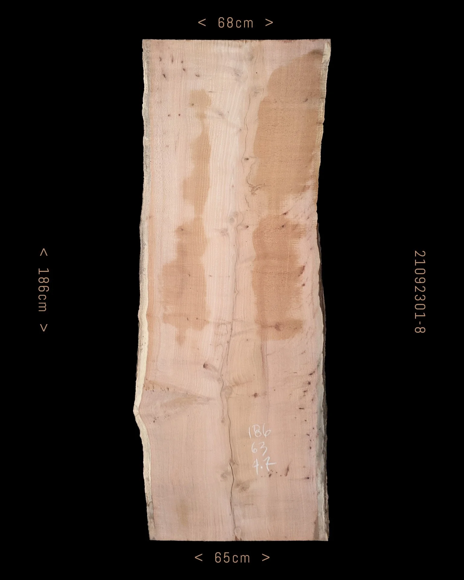 Silky Oak  |  Sale Price $485