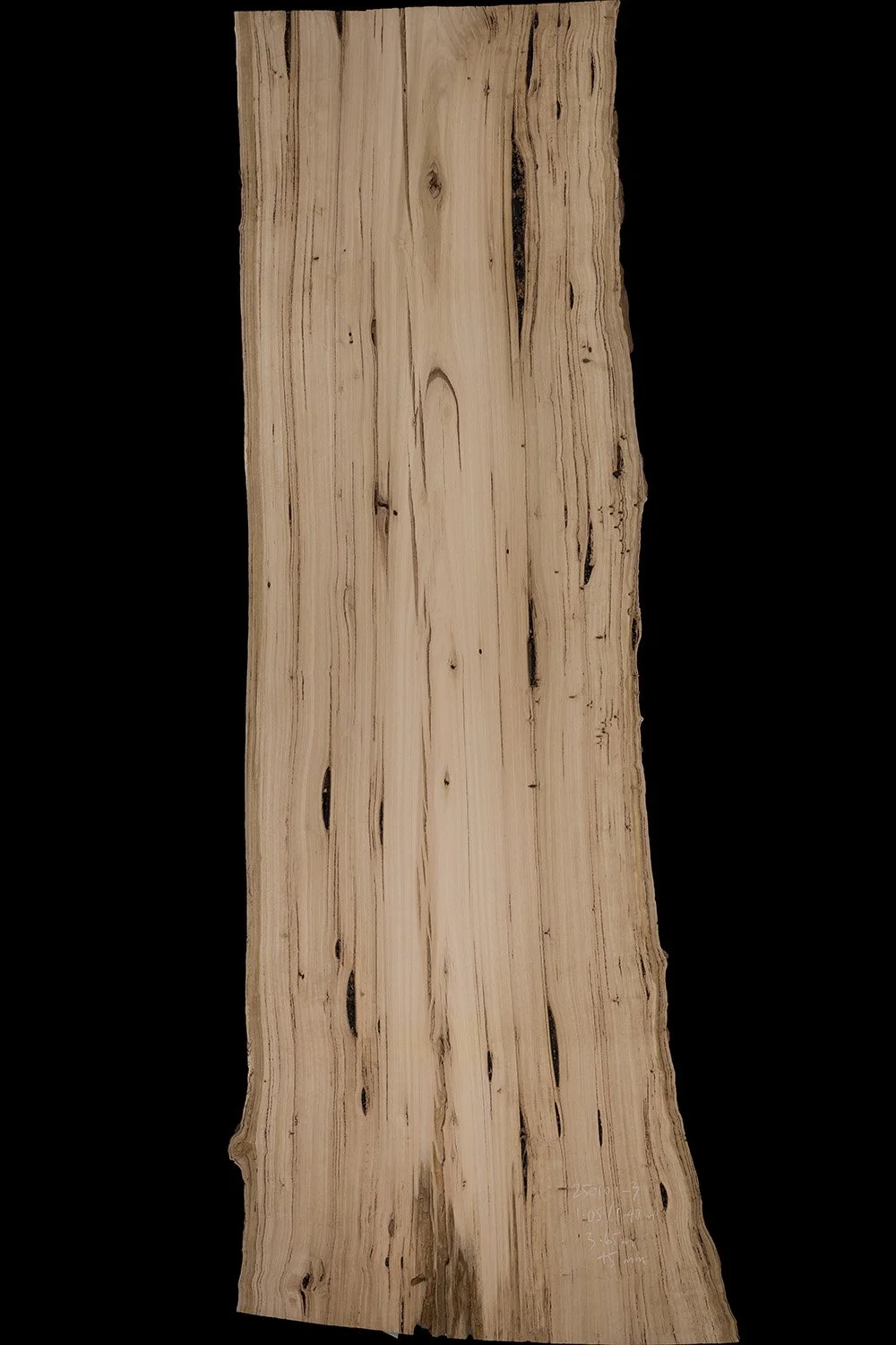 A long, narrow piece of wood with a natural, uneven edge, showing a light color with dark streaks and knots, set against a black background.