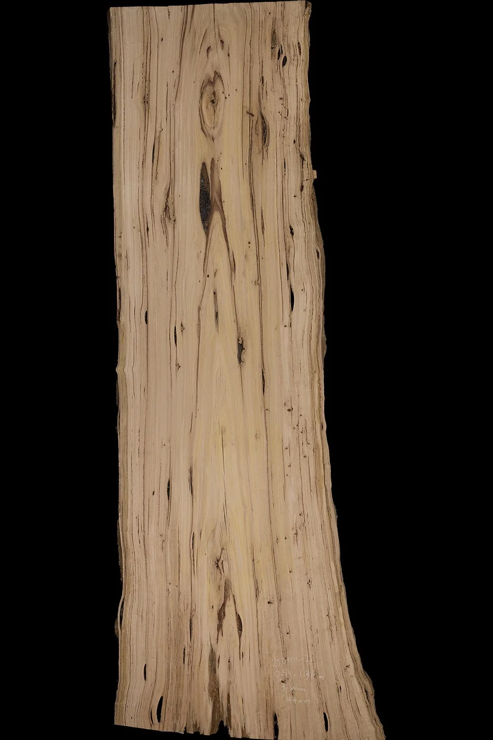A large, vertically oriented slab of natural wood with visible grain patterns, knots, and irregular edges, displayed against a black background.