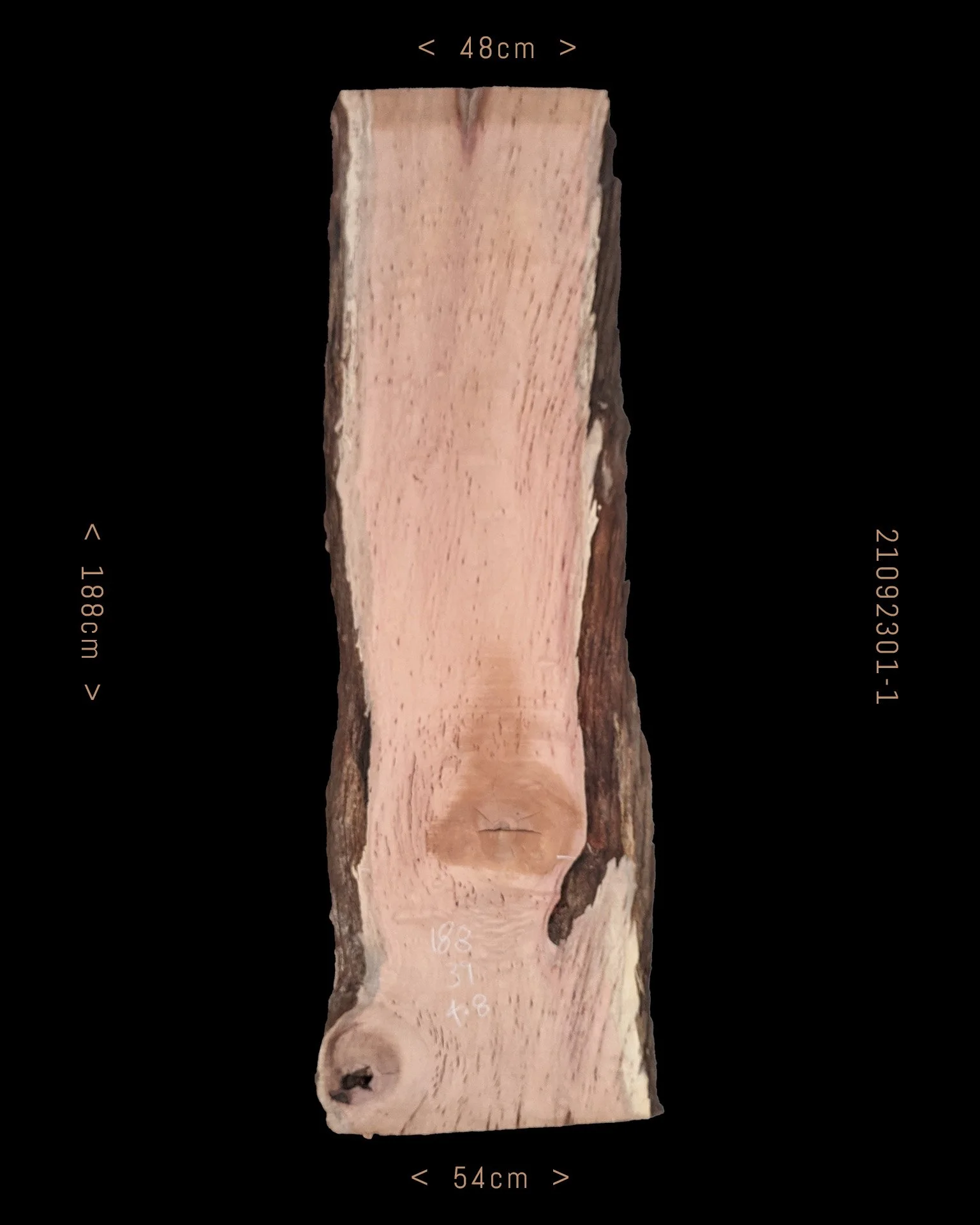 Silky Oak  |  Sale Price $215