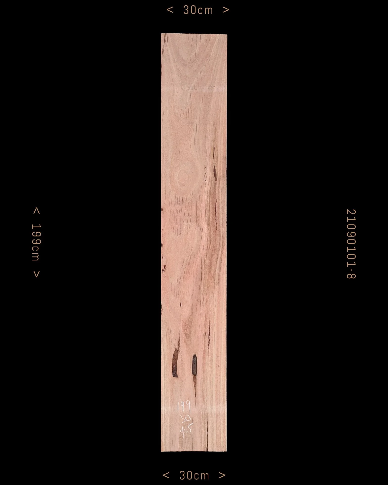 Mountain Ash  |  Sale Price $135