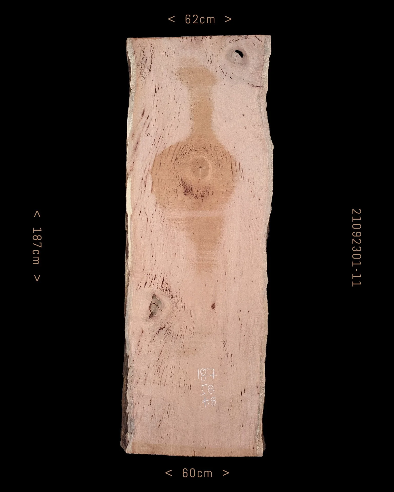Silky Oak  |  Sale Price $445