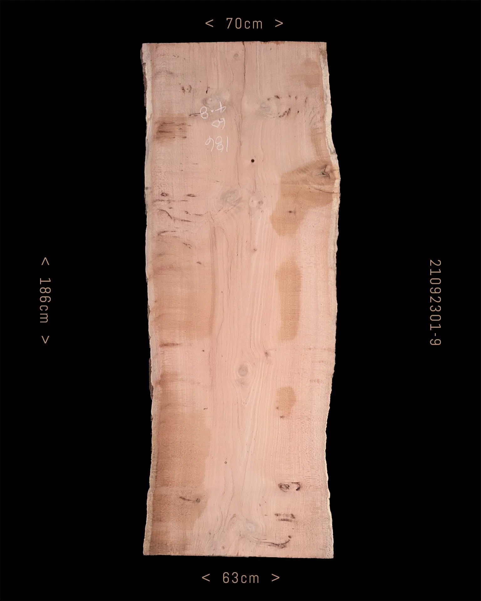 Silky Oak  |  Sale Price $485