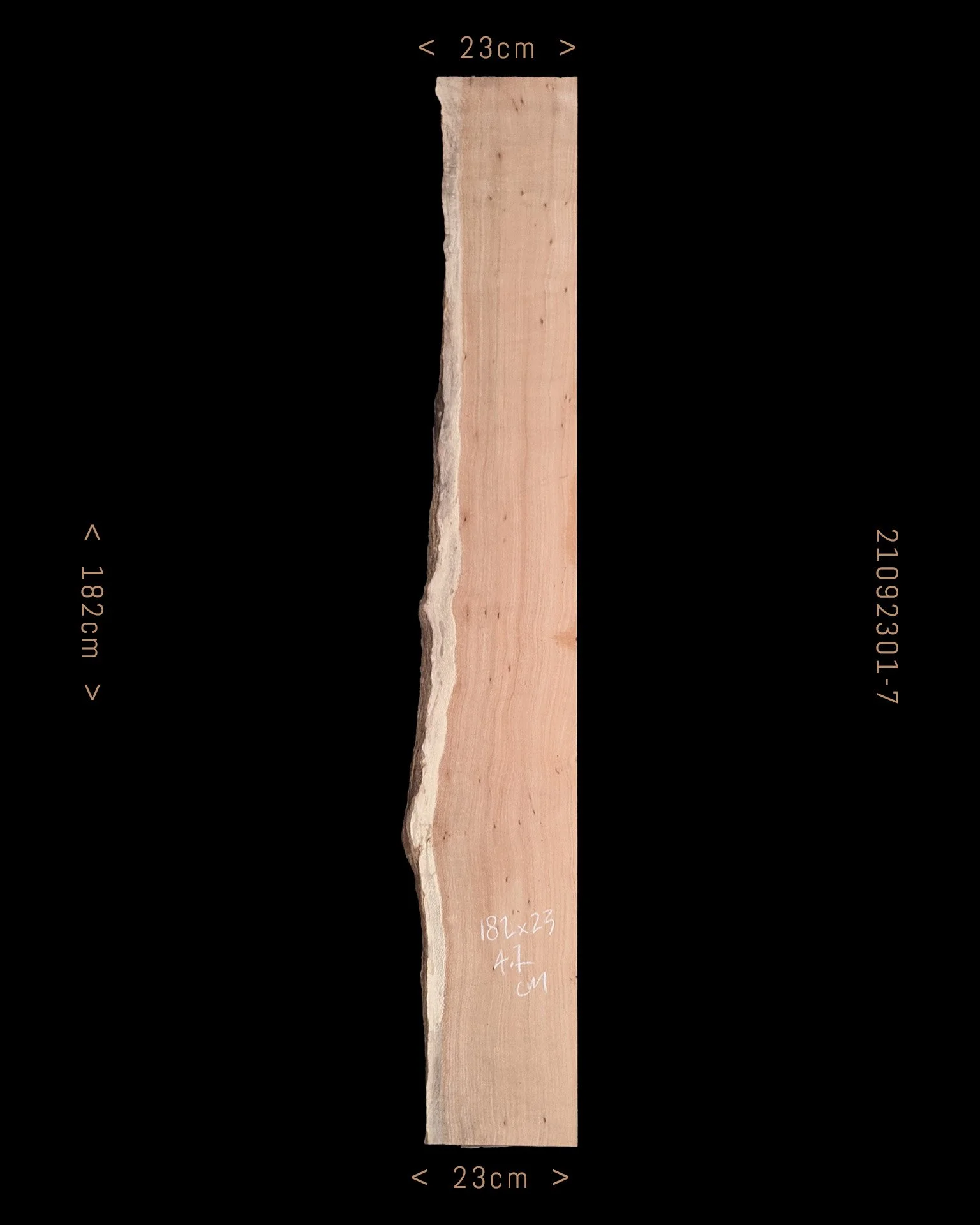 Silky Oak  |  Sale Price $95