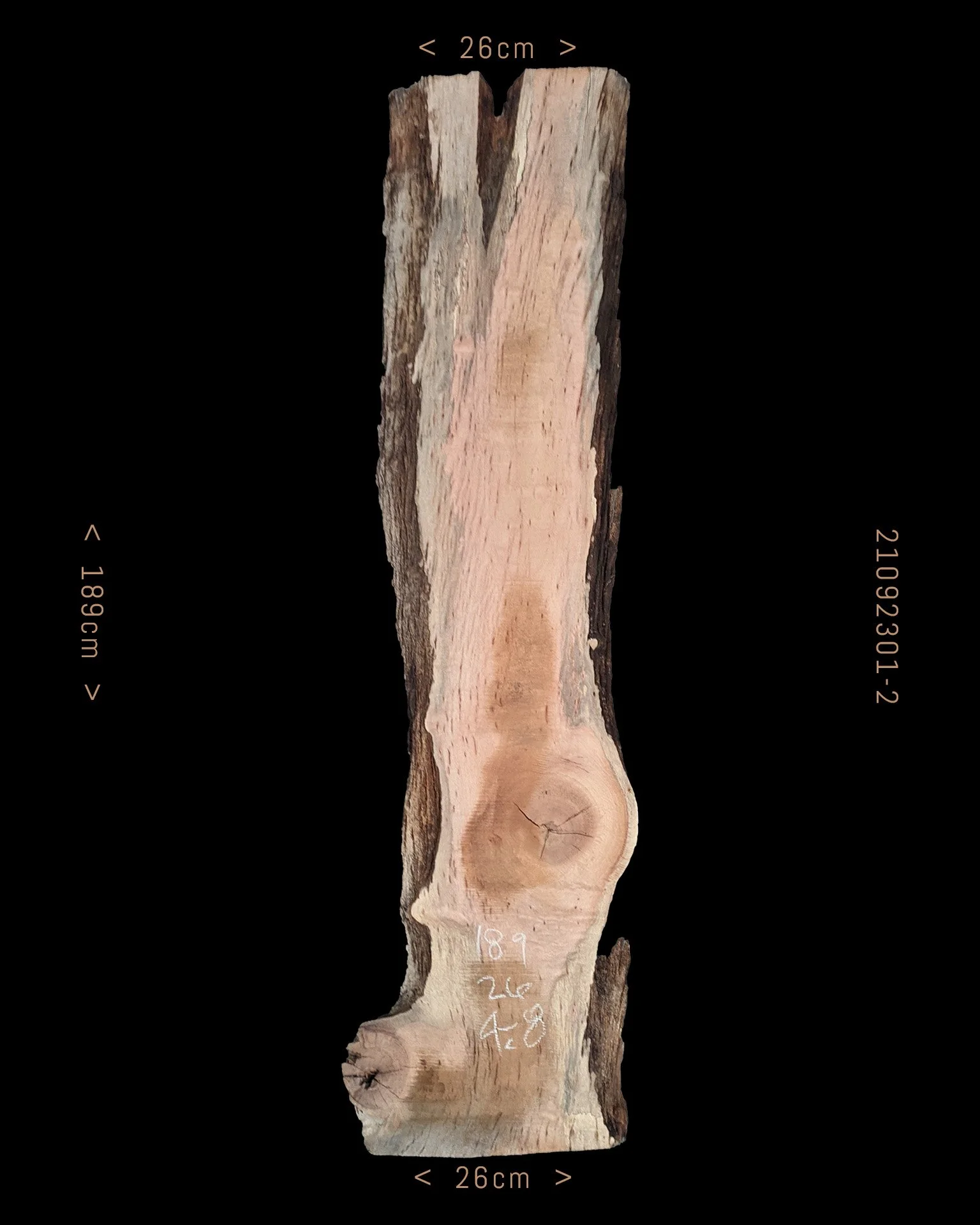 Silky Oak  |  Sale Price $110