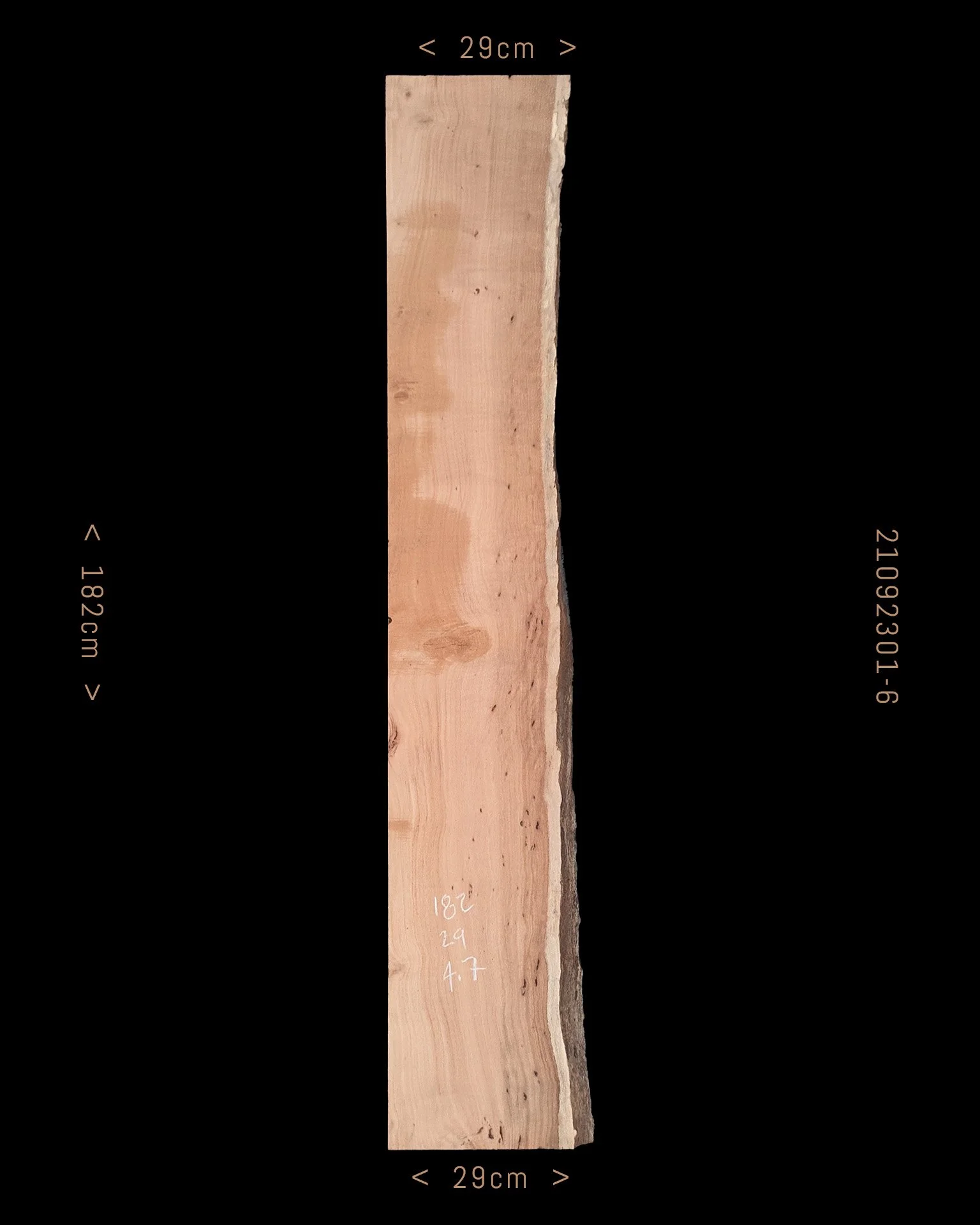 Silky Oak  |  Sale Price $120
