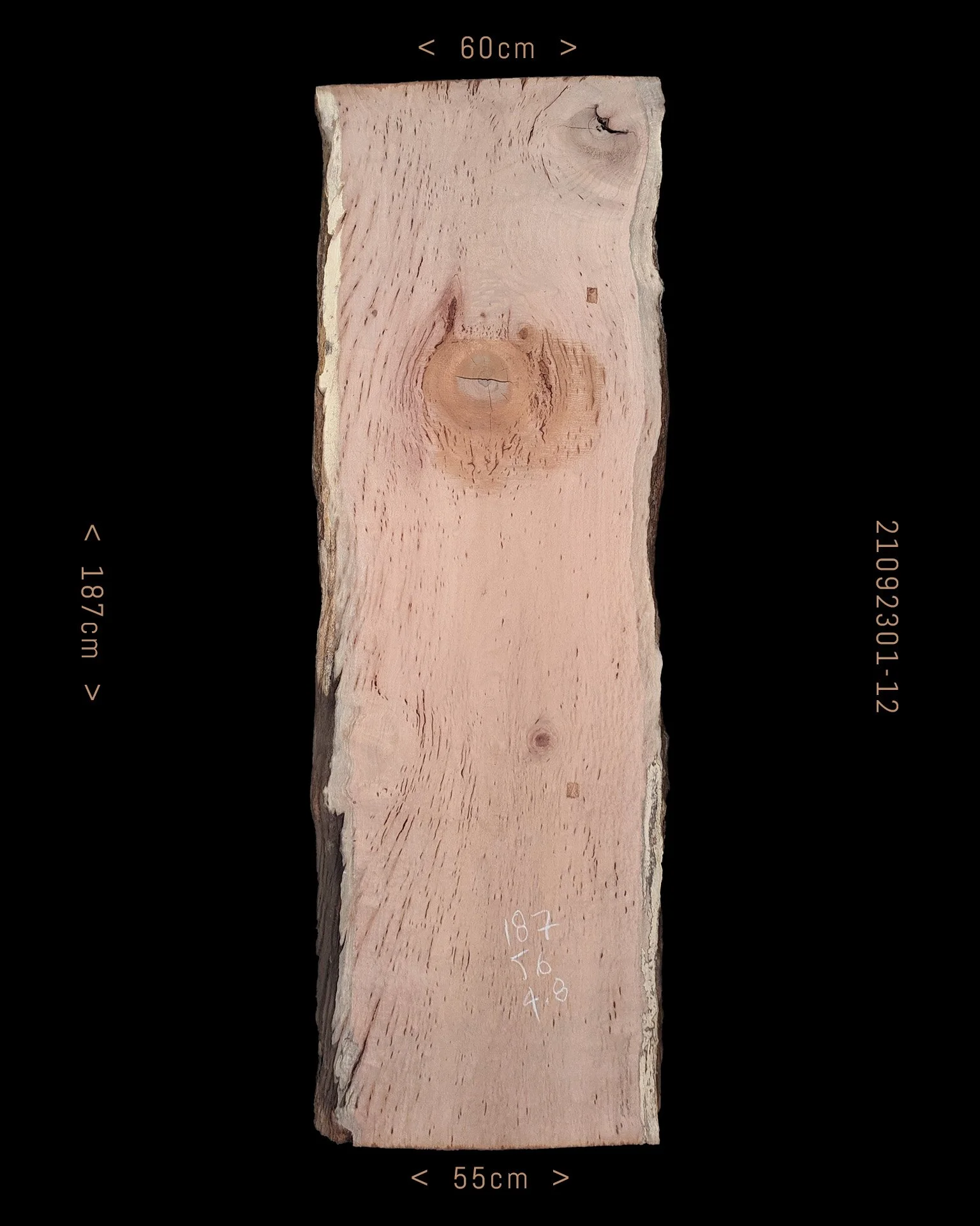 Silky Oak  |  Sale Price $420