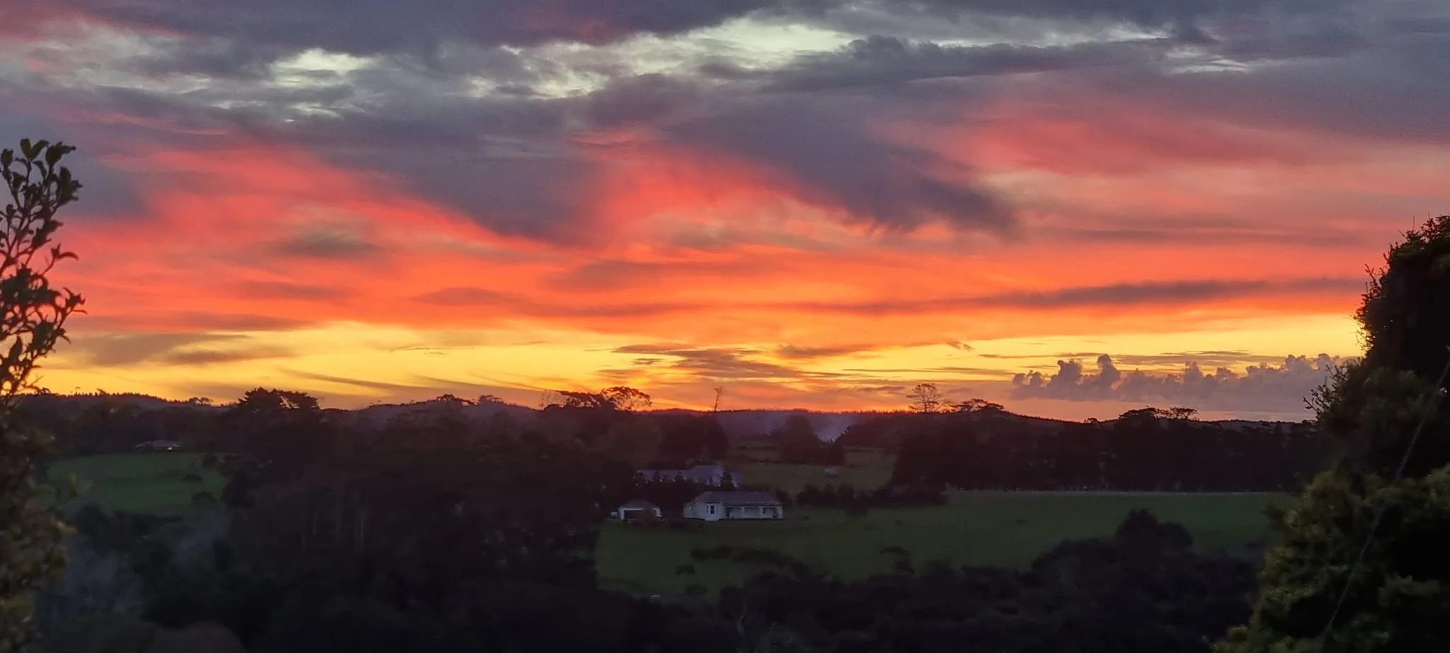 Rural Auckland Dog Boarding Facilities Woodbury Kennels, Waimauku
