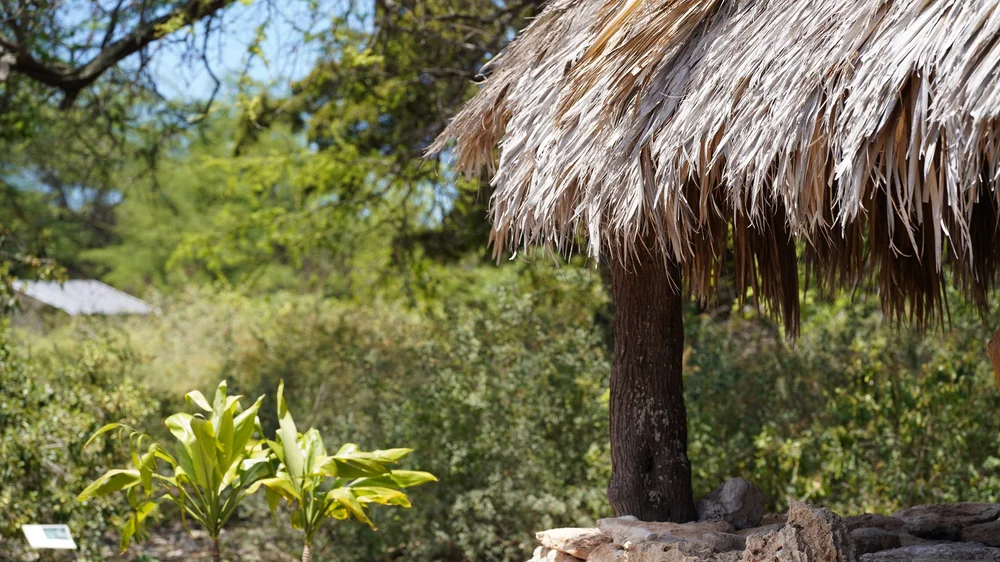 Kalaeloa Heritage and Legacy Foundation