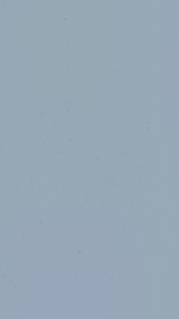 2017-12-05_c8e10f740ed741d2b434db343ca94e3d.gif