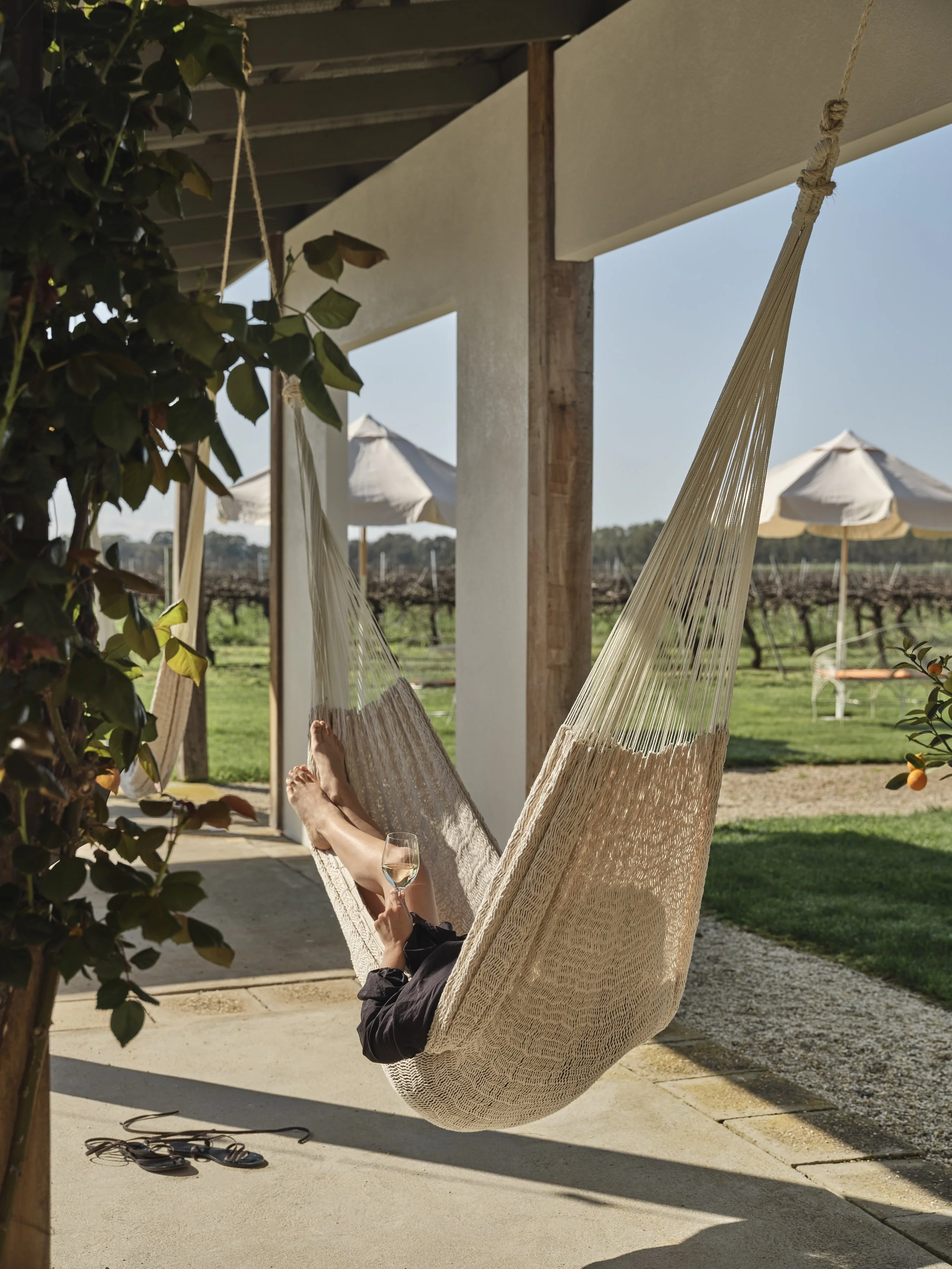 General 6 Chroma Group General 6 Chroma Group