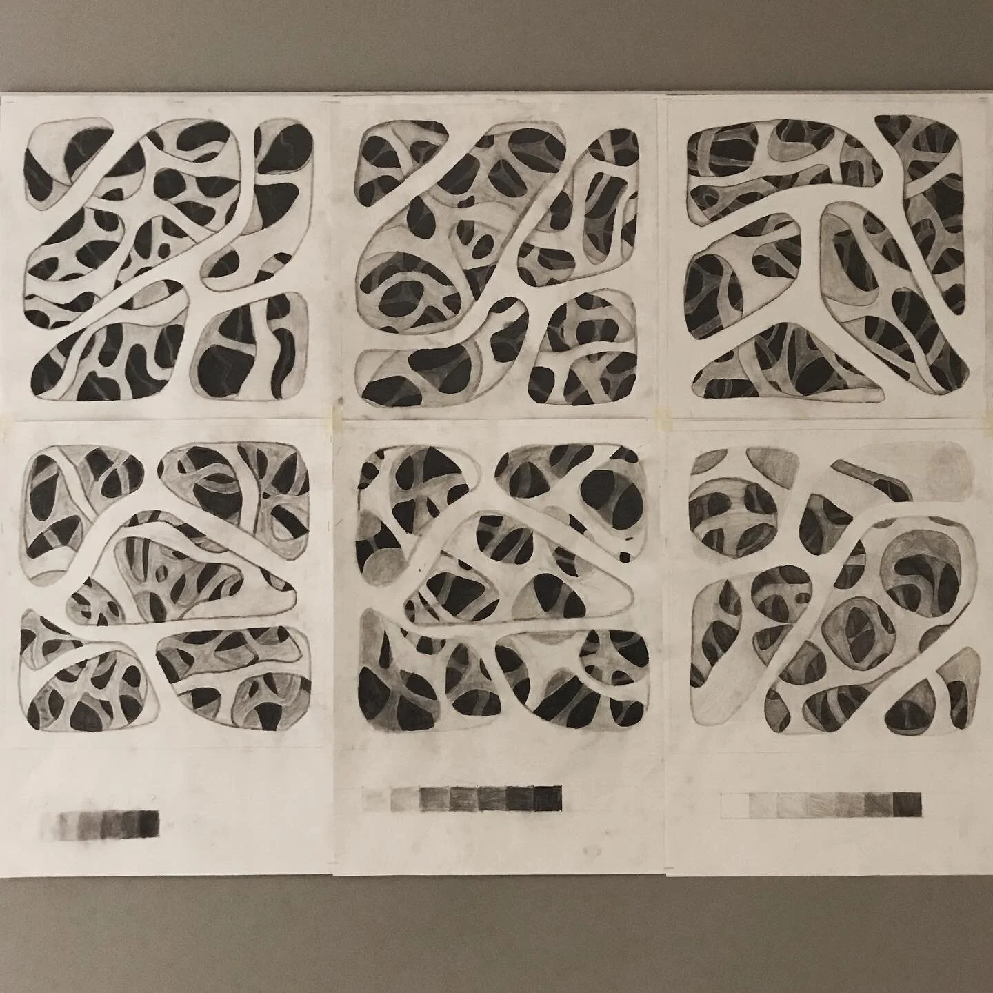 #valuescale #atmosphericperspective #artproject #middleschoolart #arteducation #badgerartclass #graphite #graphitedrawing