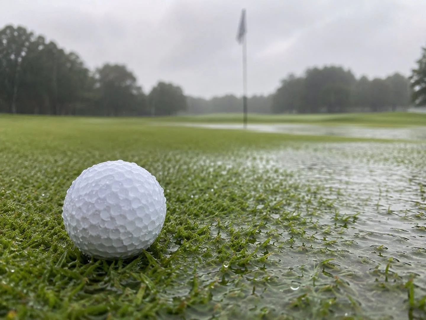 Course Closed 25/8/26