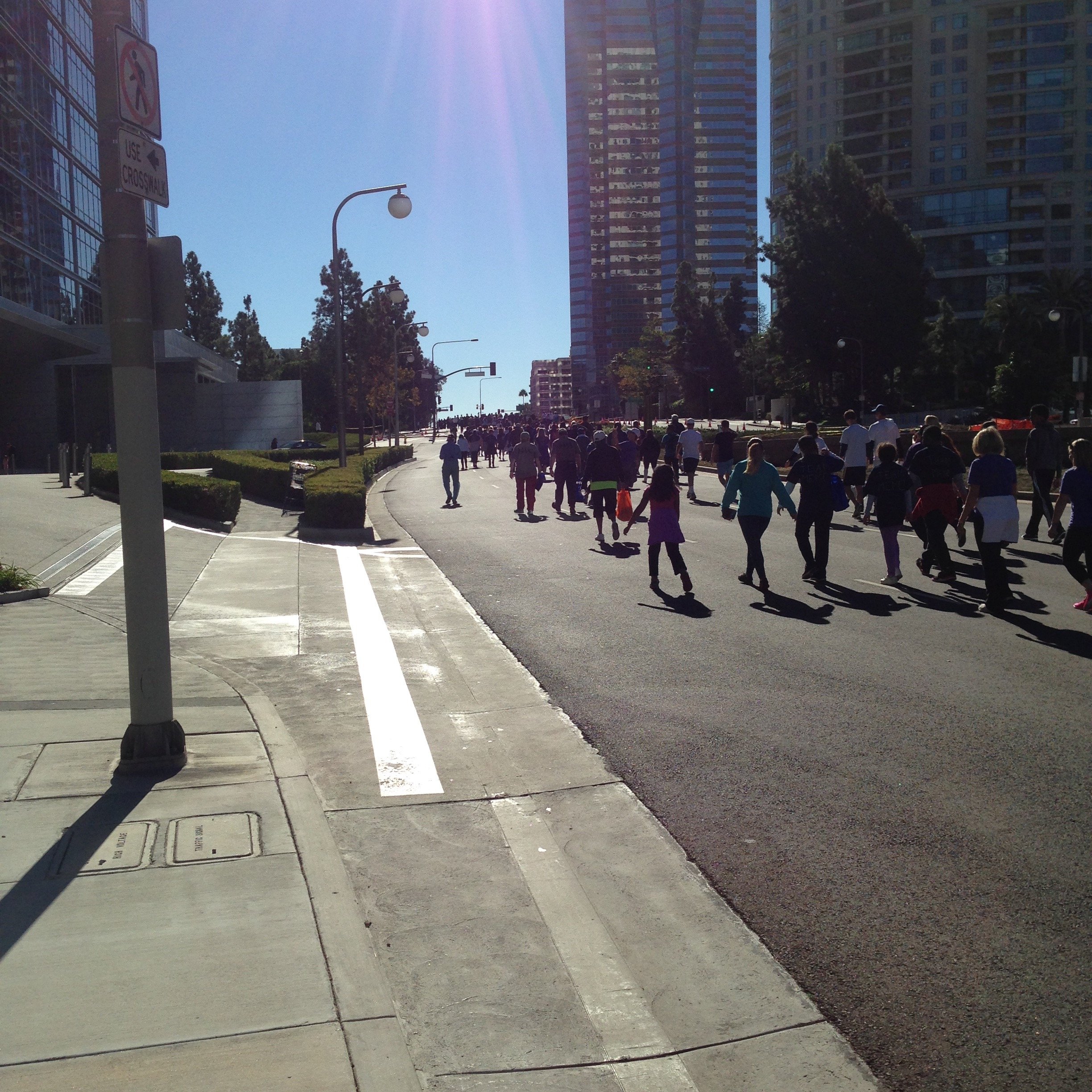 Alzheimer's Walk