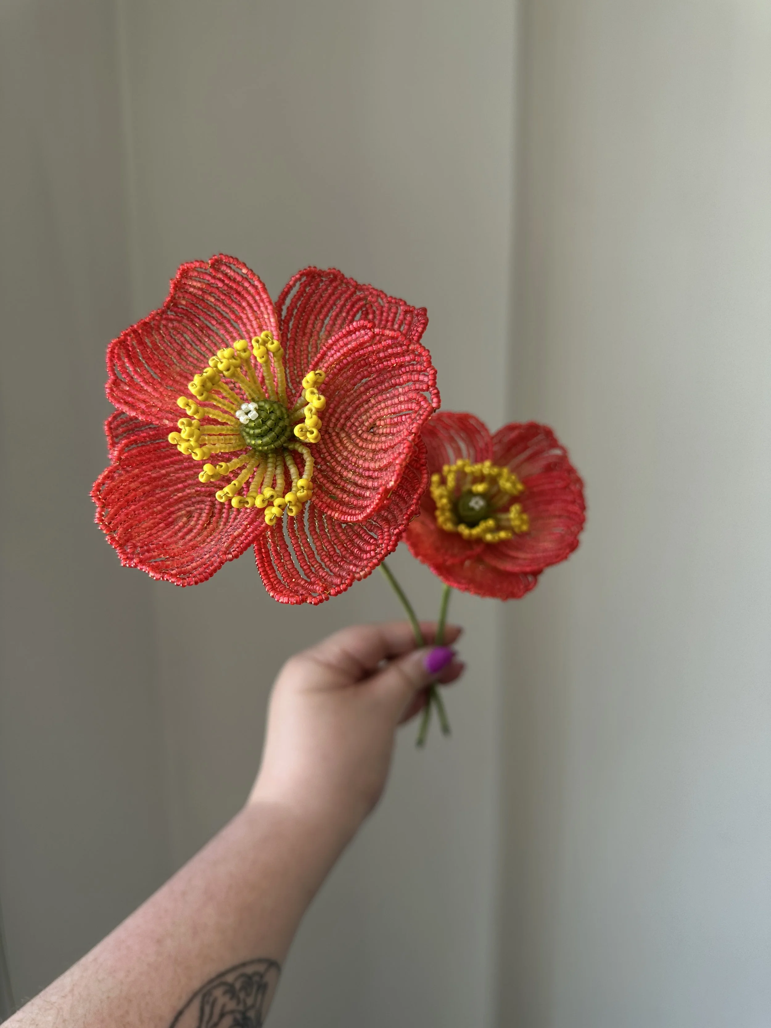 Two Red Poppies