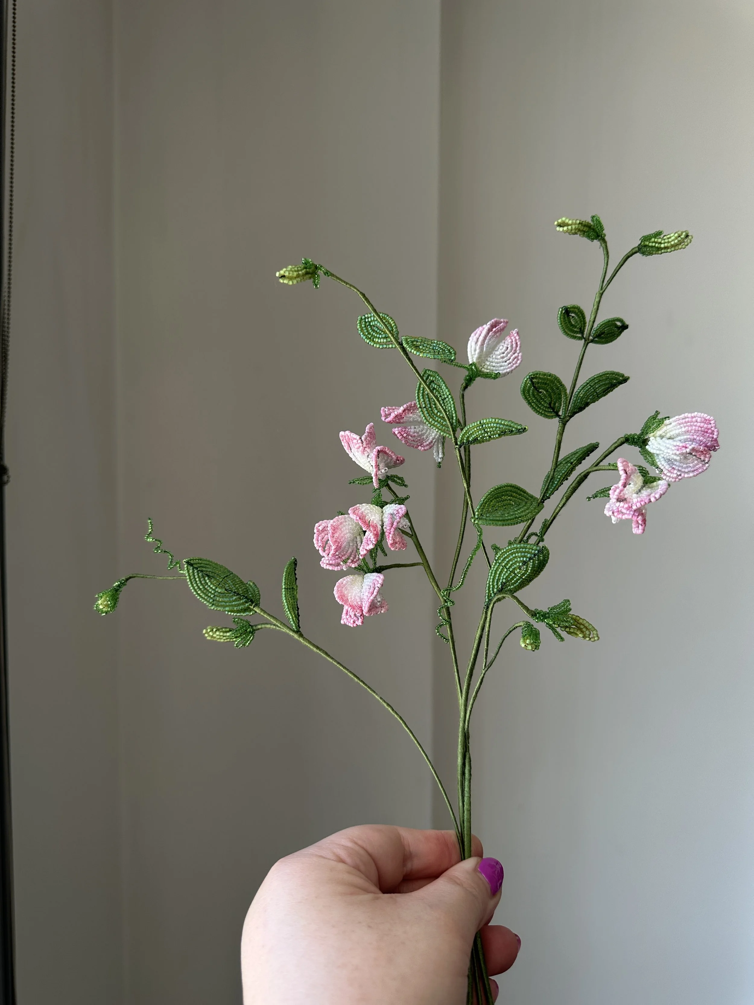 Sweetpeas, Bunch No. 2