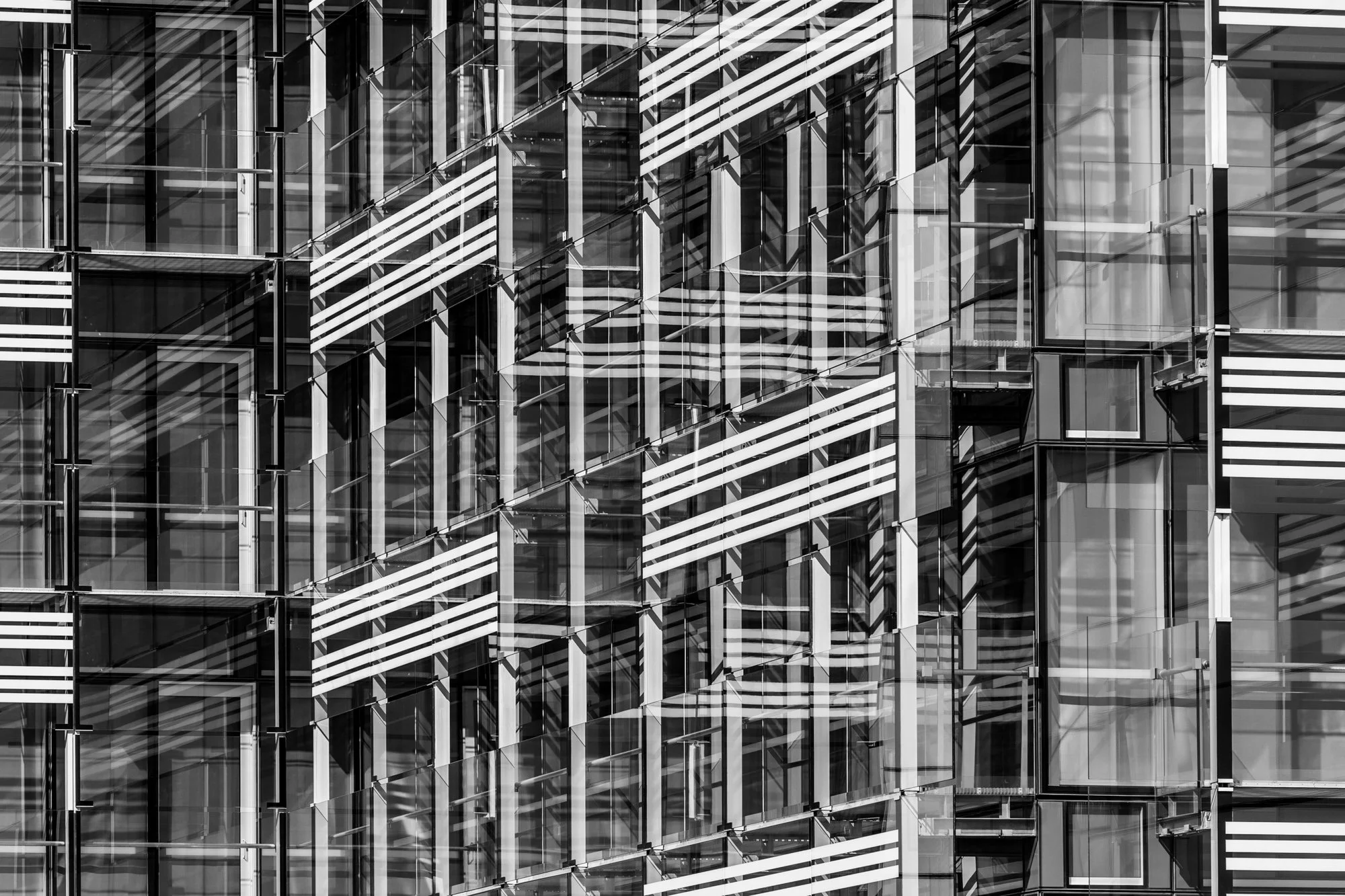 1537-2924-BR-2.jpg