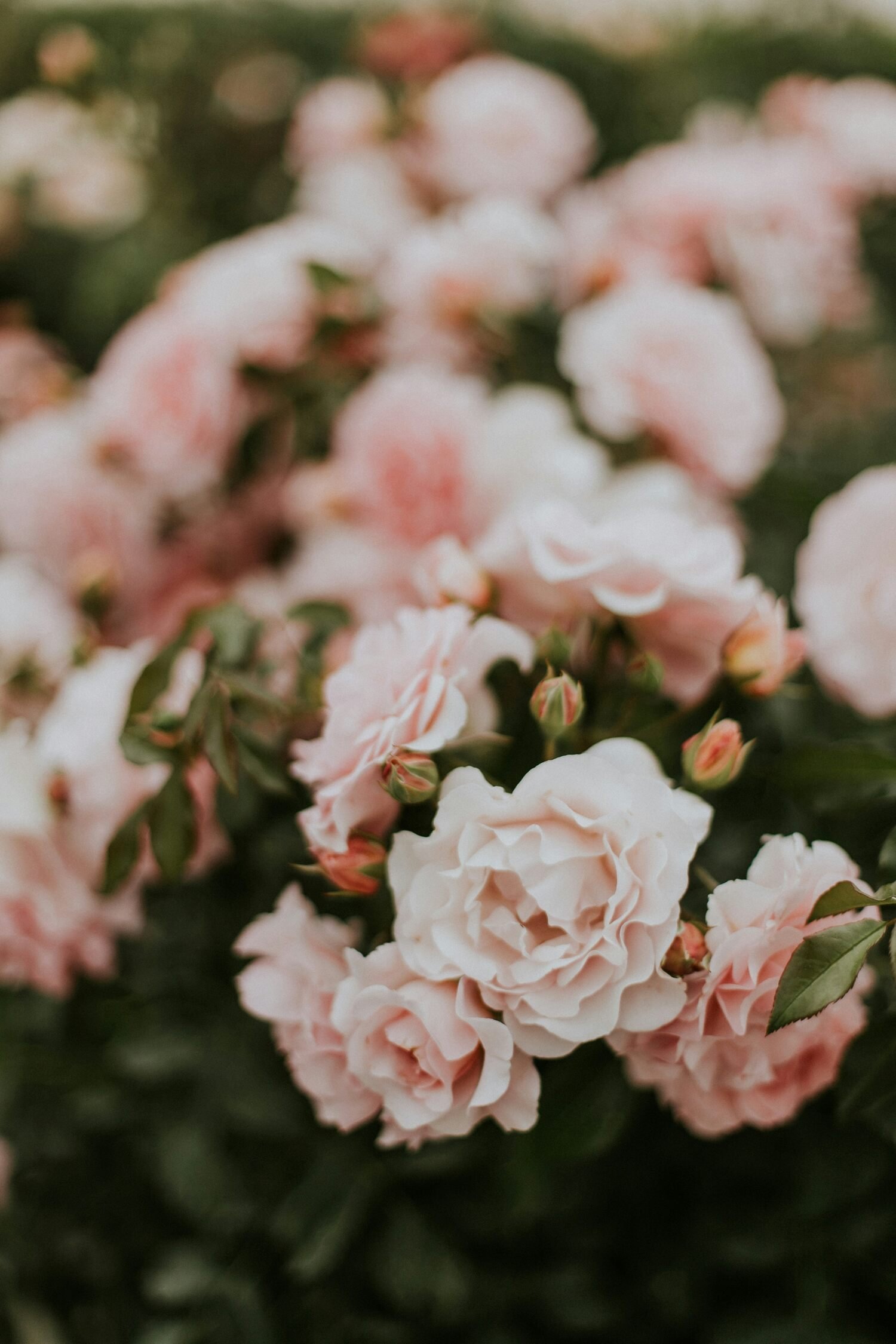 daiga-ellaby-rqcRXsGRiUw-unsplash.jpg