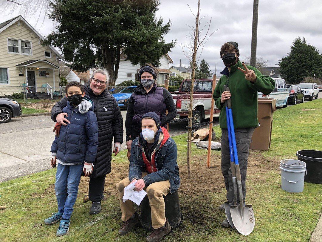 We are hiring a full-time tree planting coordinator! Looking for a community connector who understands plants, cities, equity, and outreach! #tacomaneedstrees #tacoma #sustainability #trees #treeplanting https://www.idealist.org/en/nonprofit-job/63be