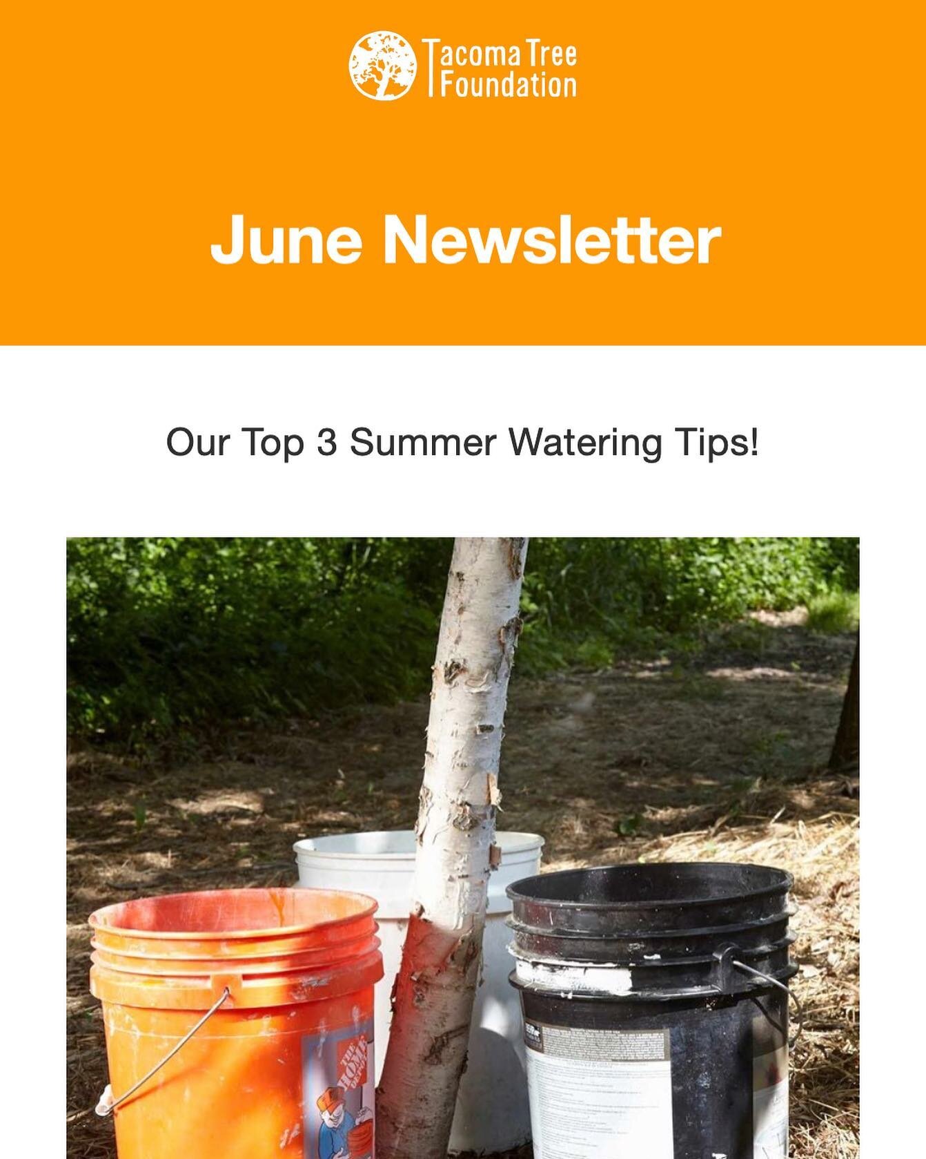 Our next newsletter is dropping soon!! Complete with watering tips to keep your trees happy, healthy and hydrated this summer! 
Sign up at tacomatreefoundation.org/contact-us