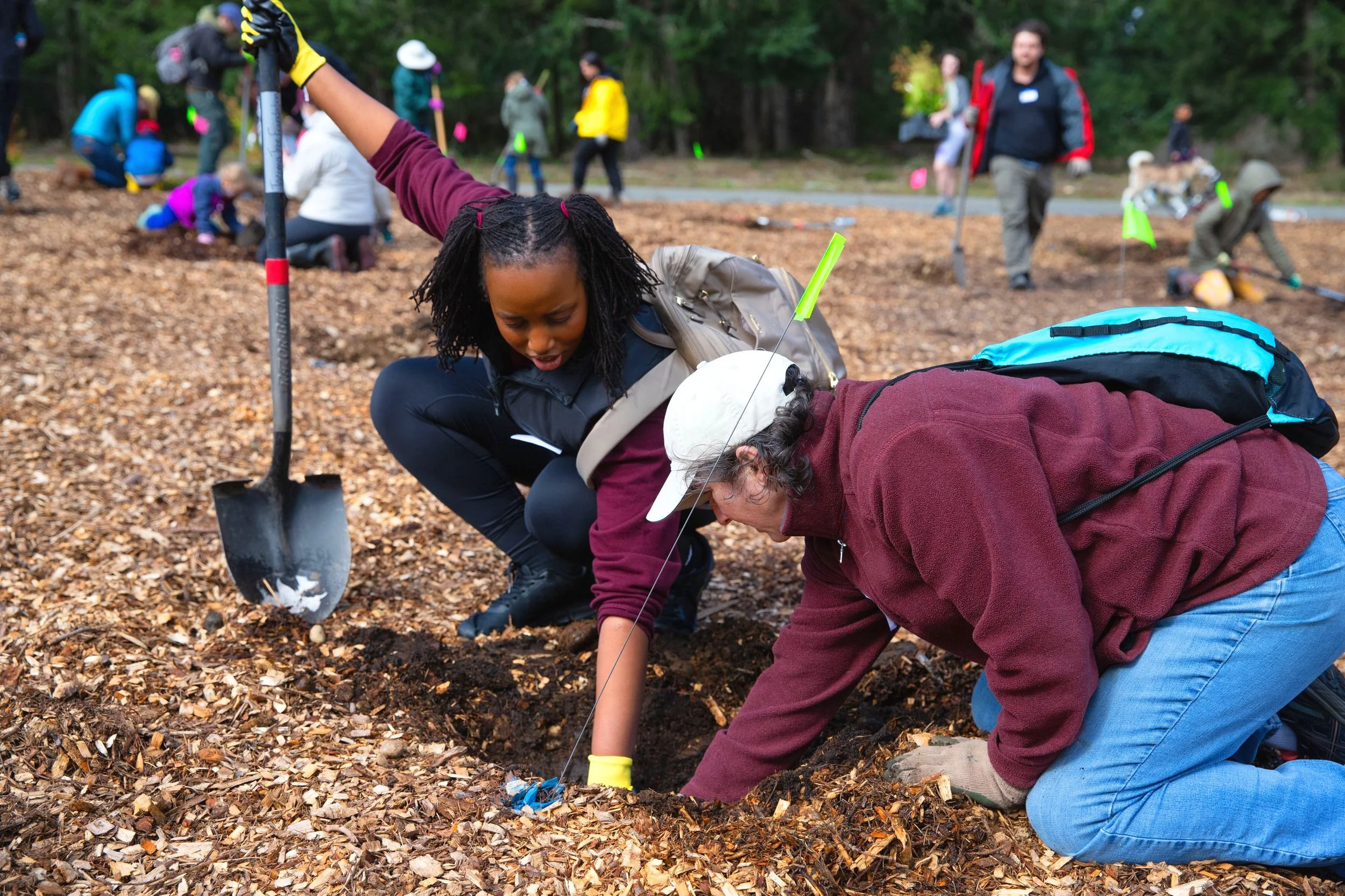 Tacoma Tree Foundation