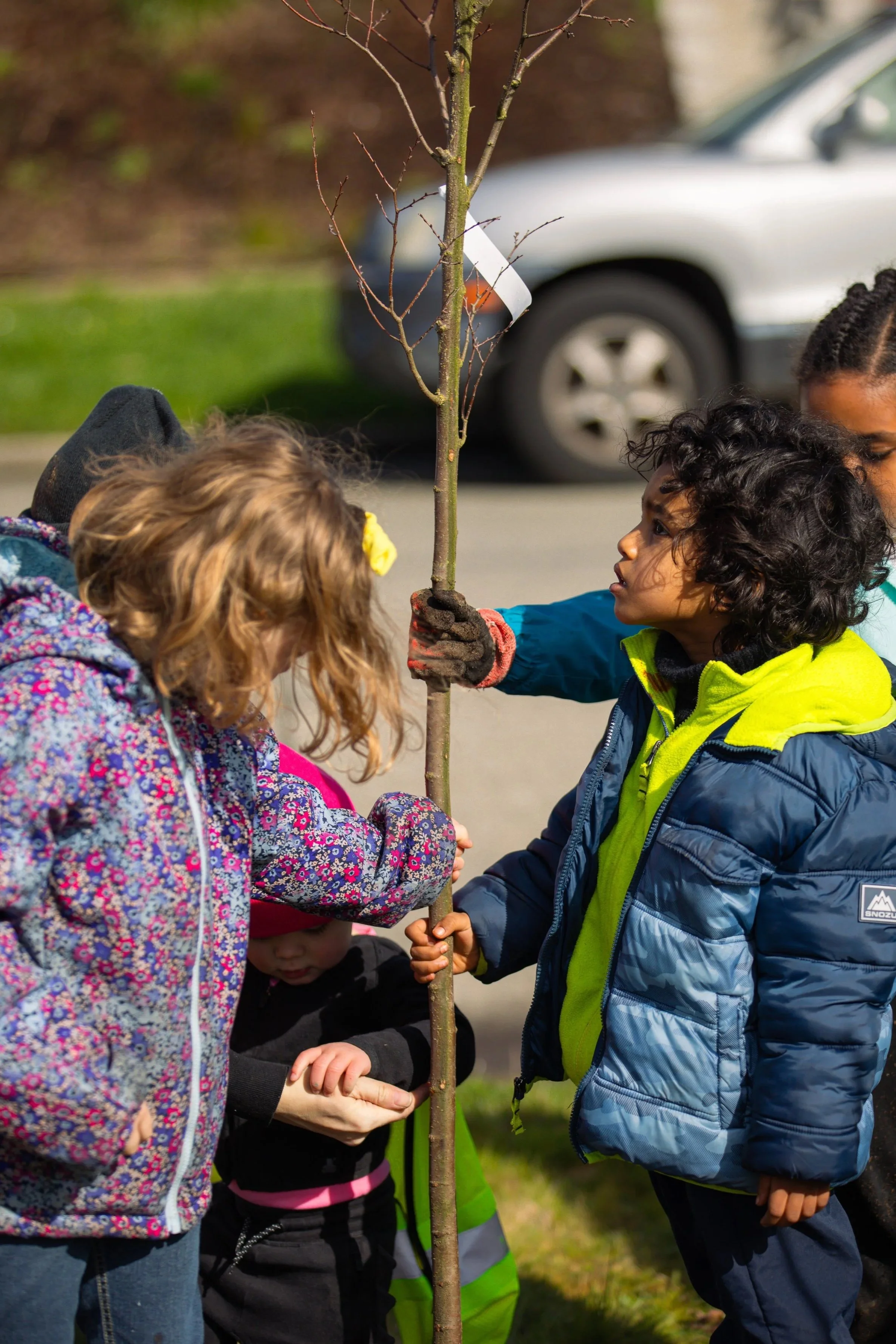GB+kids+holding+tree.jpg