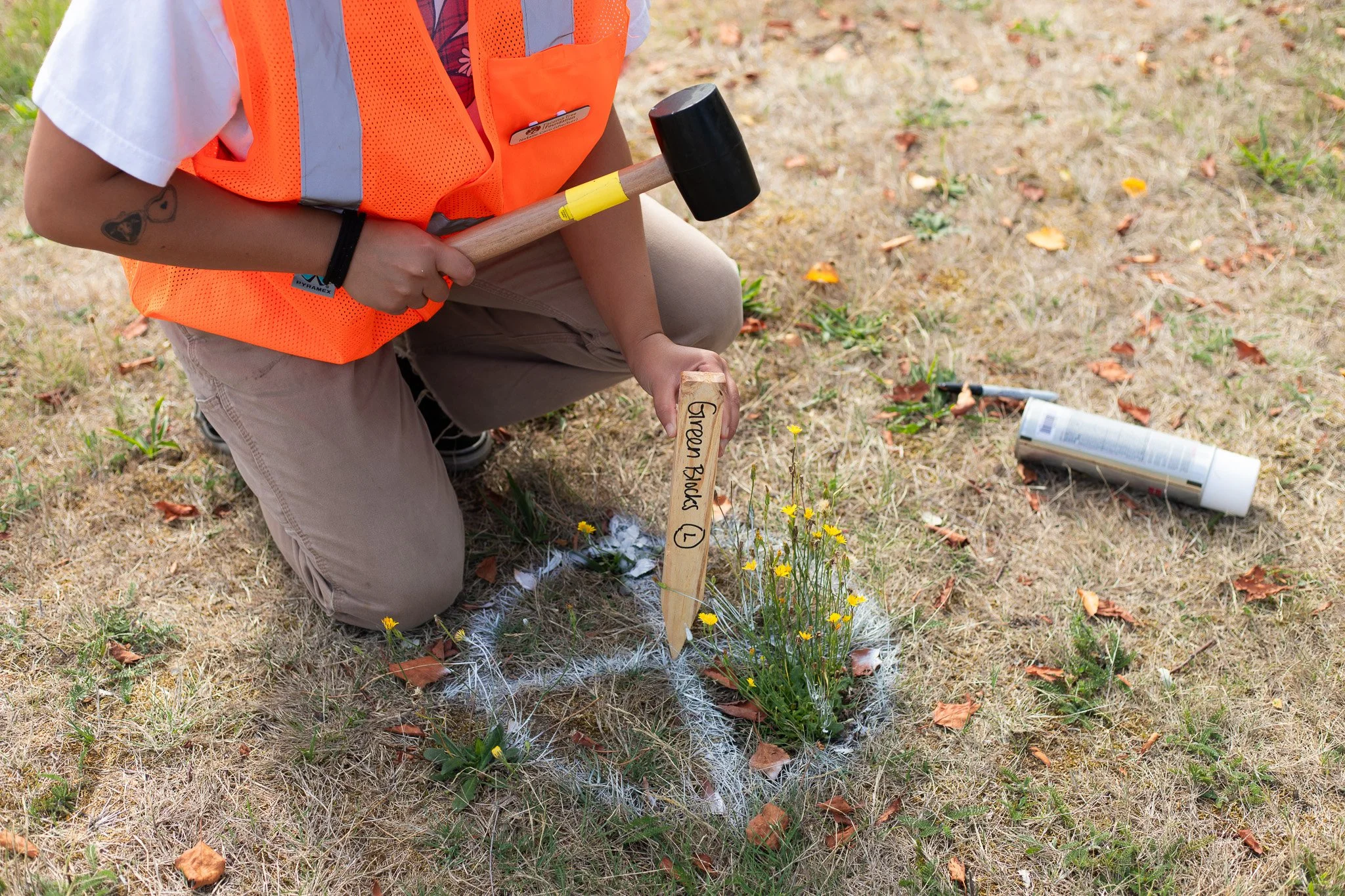 Nataliestakingtrees source_ julia.jpg