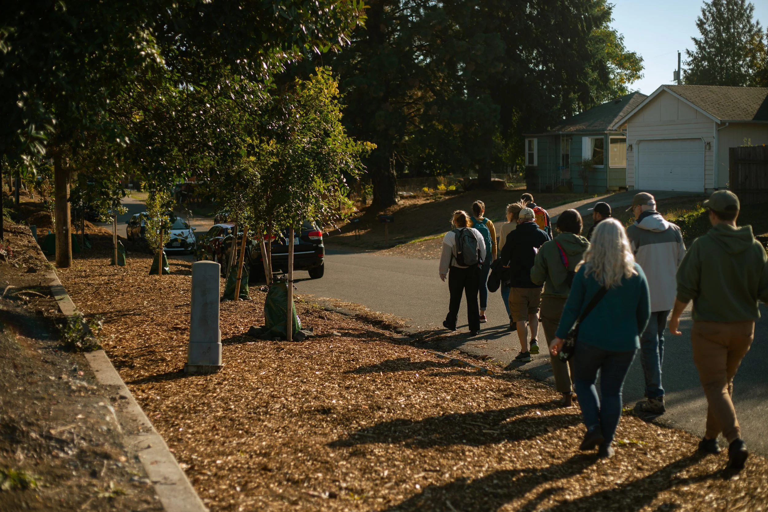 Understanding Air Pollution and Our Urban Forest
