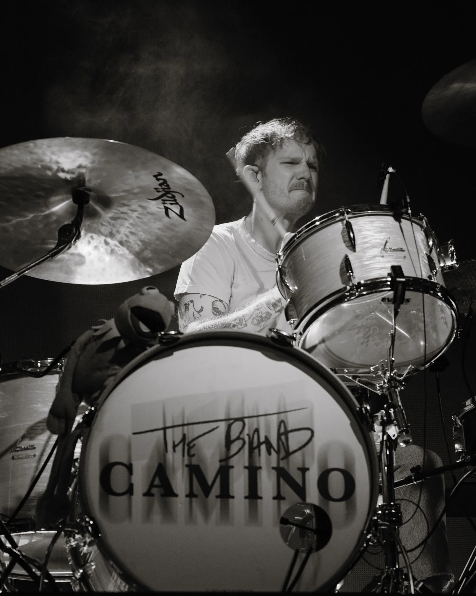 Blake Harbison - The Band Camino Concert Photography-2.jpg
