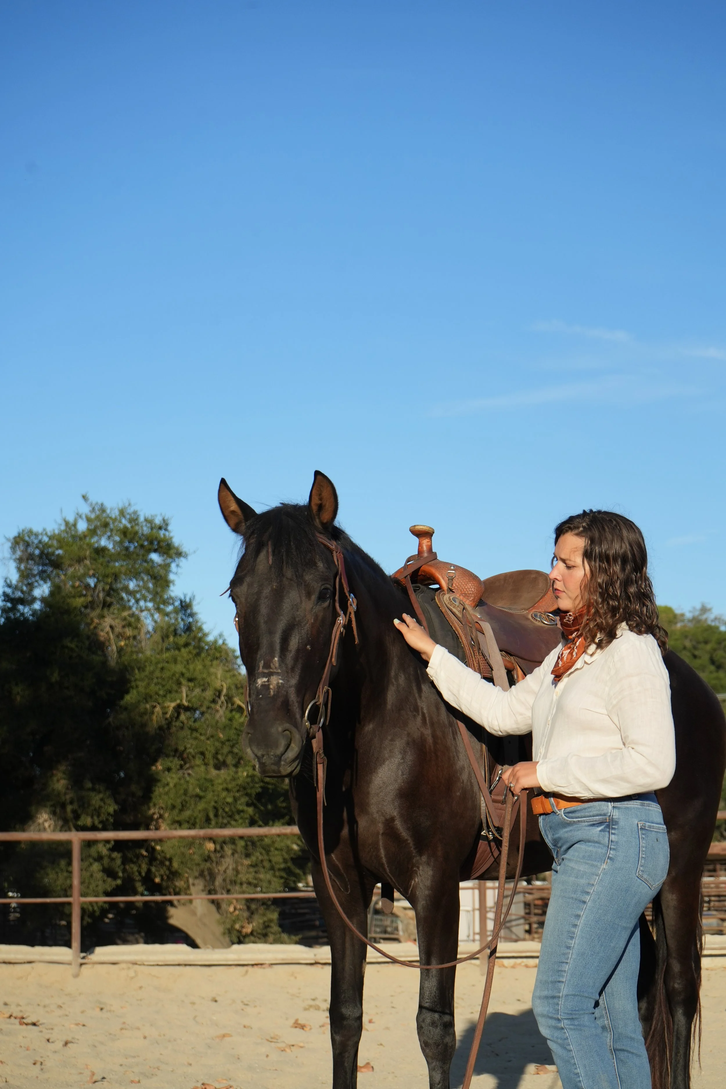 General 1 — Ruby Doss Equine