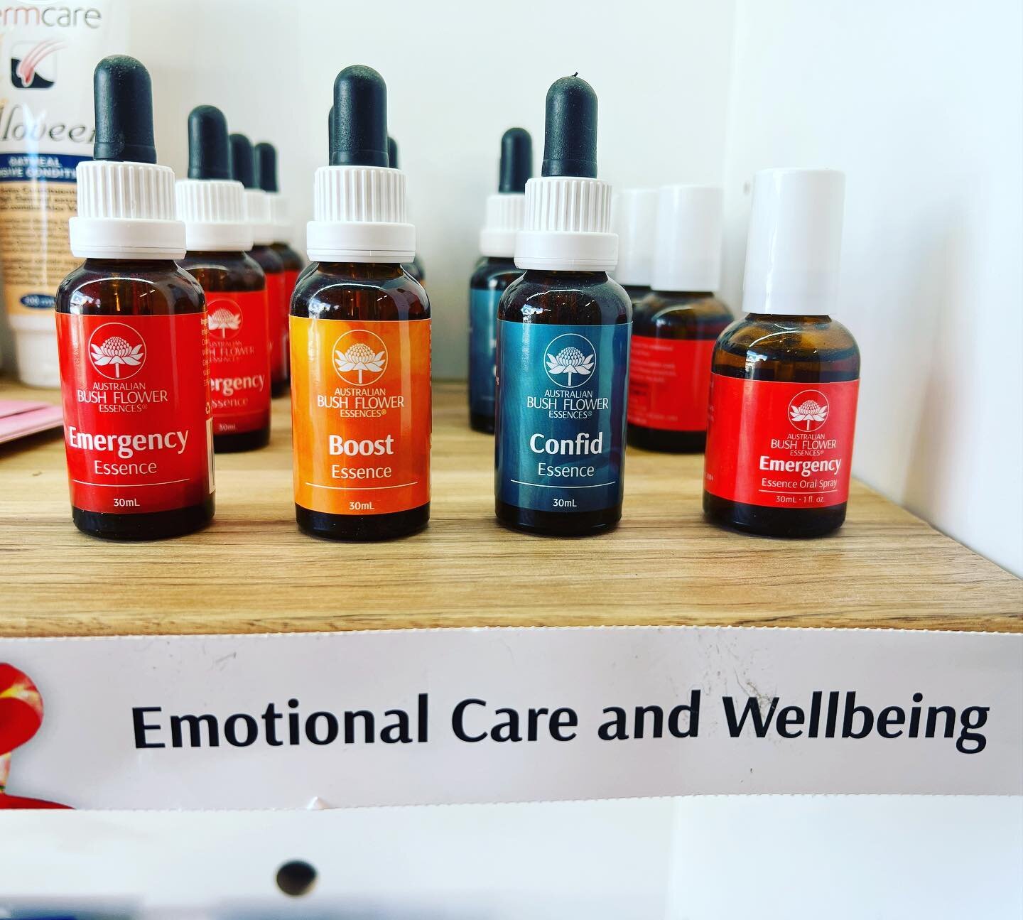 Natural Therapies are available at The Happy Dog Hub 🐶 Australian Bush Flower Essences are a safe and gentle plant based remedies that help restore balance to the mind and the body.  Australian Bush Flower Essences can help your dog feel at ease dur