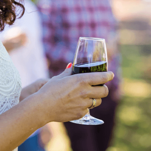 Wine Tasting In Griffith