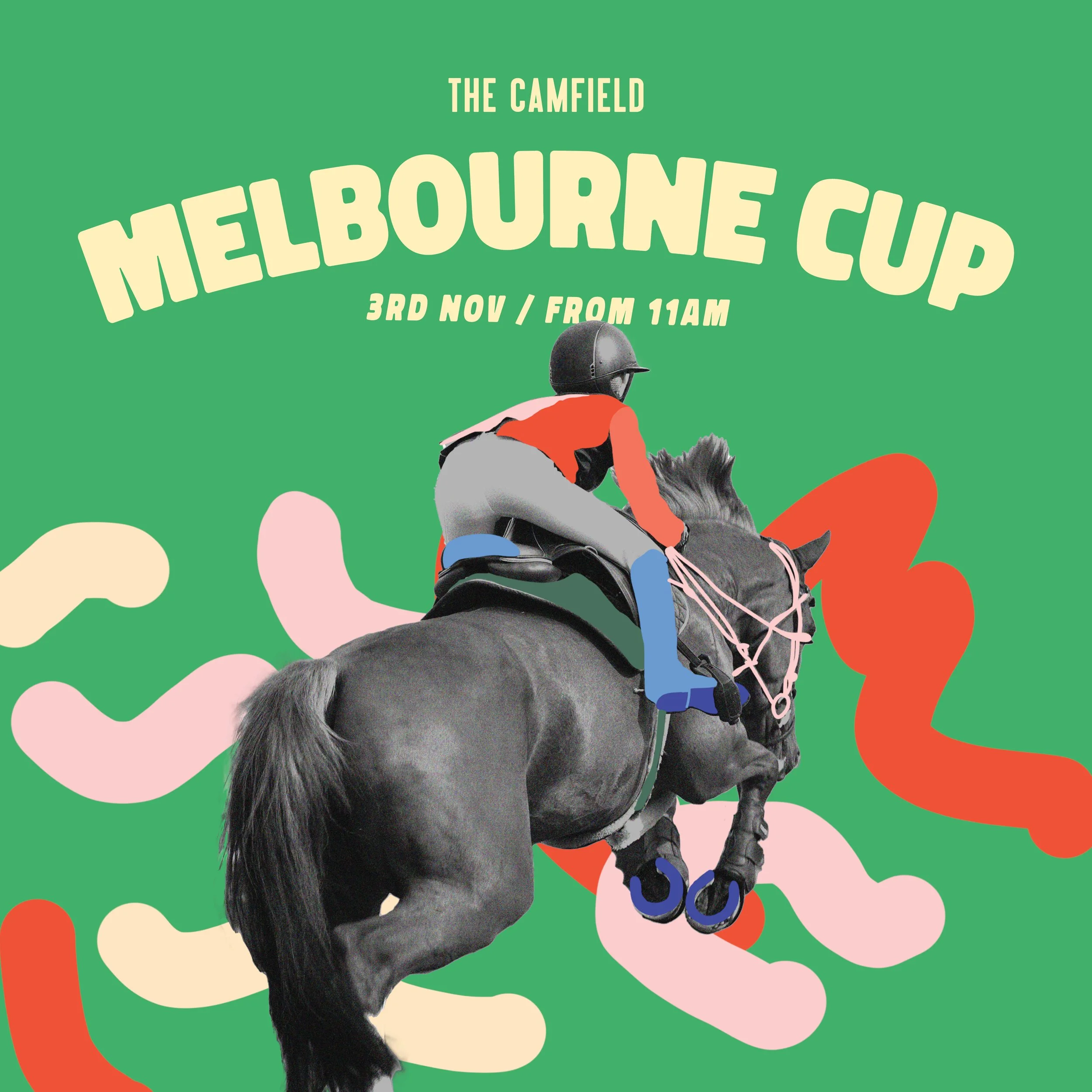 The Camfield