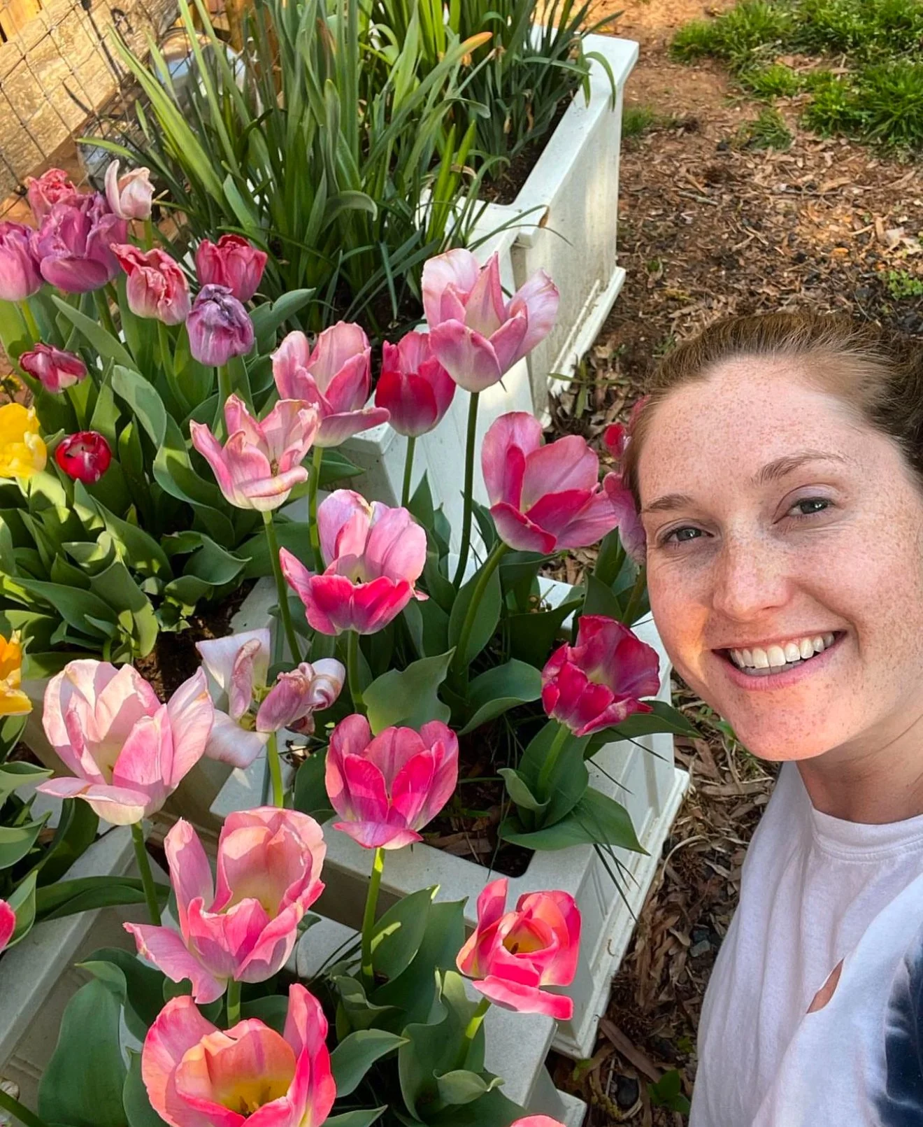 Screenshot 2024-11-02 at 14.53.21.jpeg