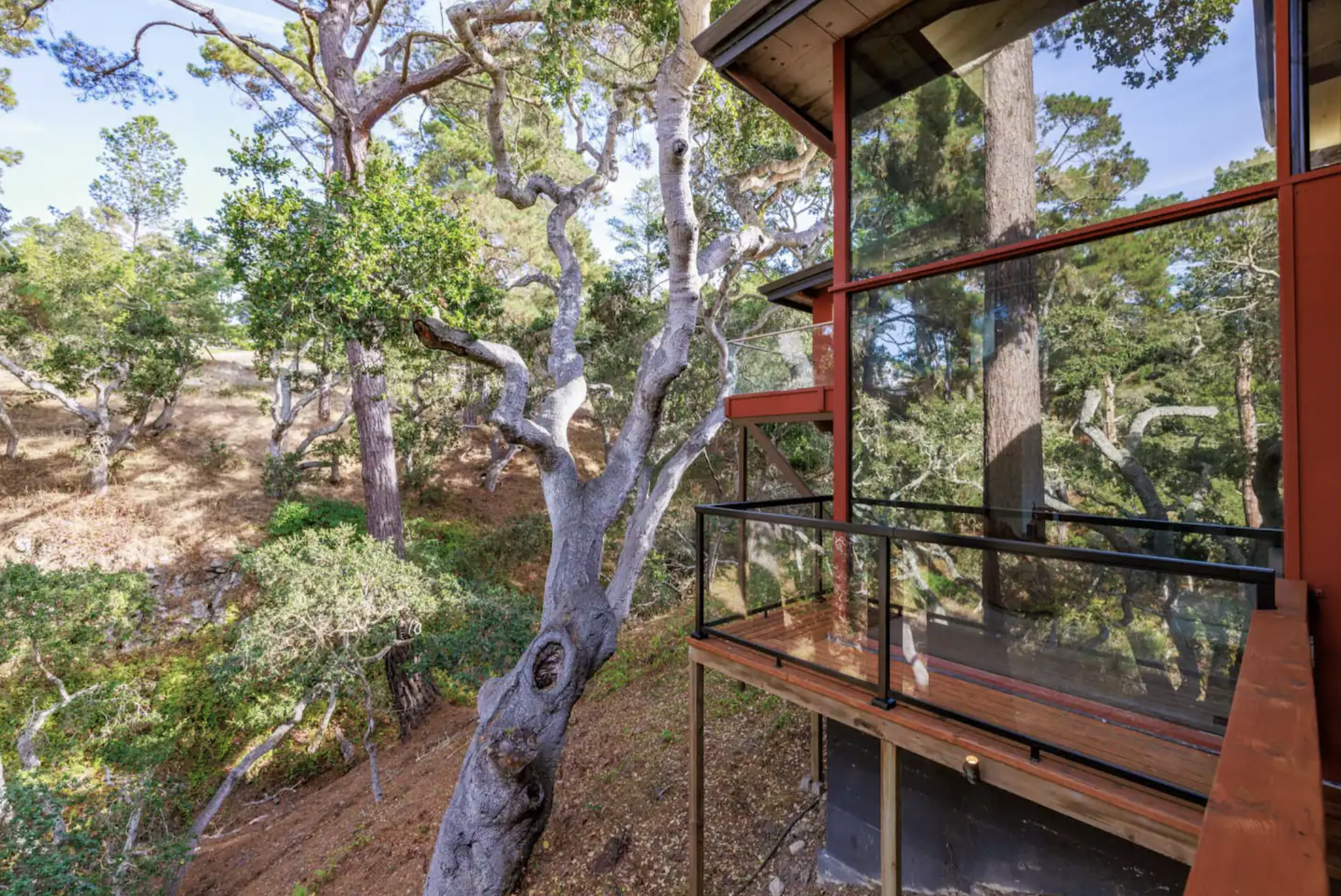 Screenshot 2024-11-09 at 2.11.06 PM.png