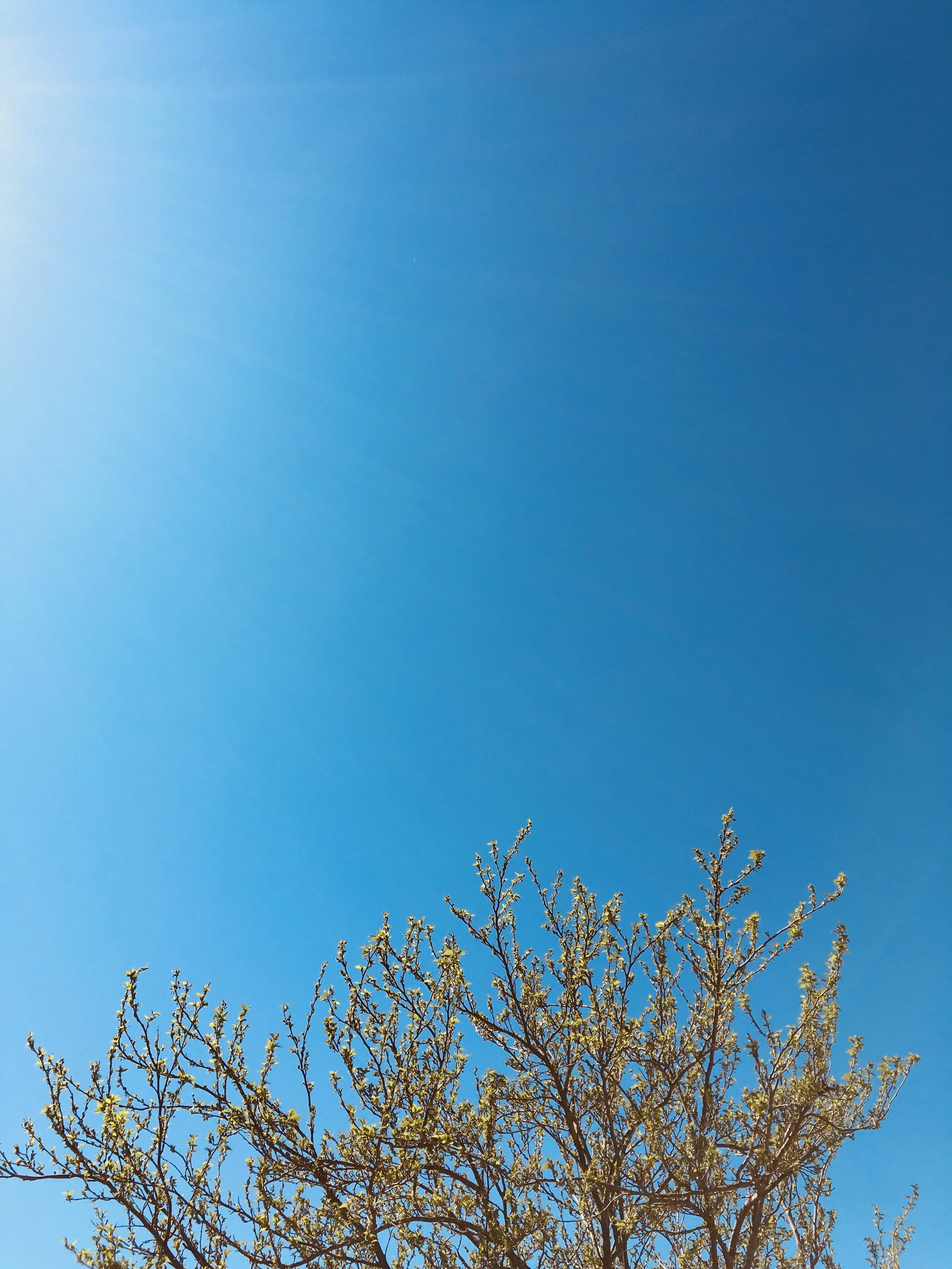 Week 7 of quarantine: thoughts &amp; feelings