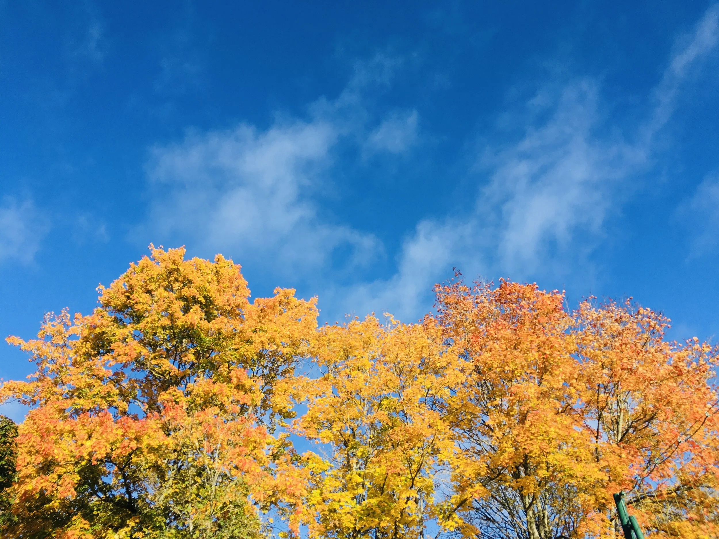 I thought I was okay but I wasn't