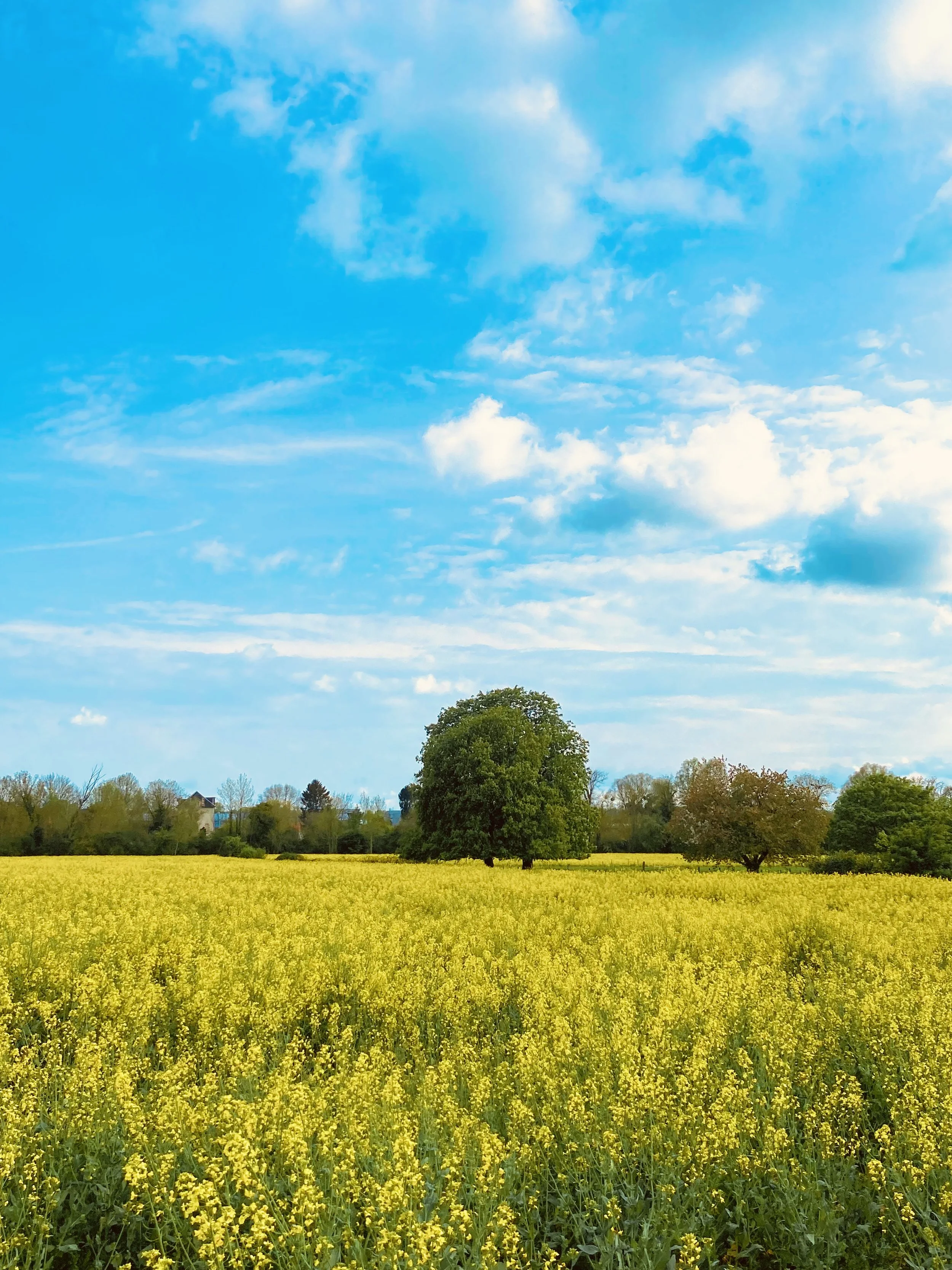 Living with Graves' disease (after a year of treatment)