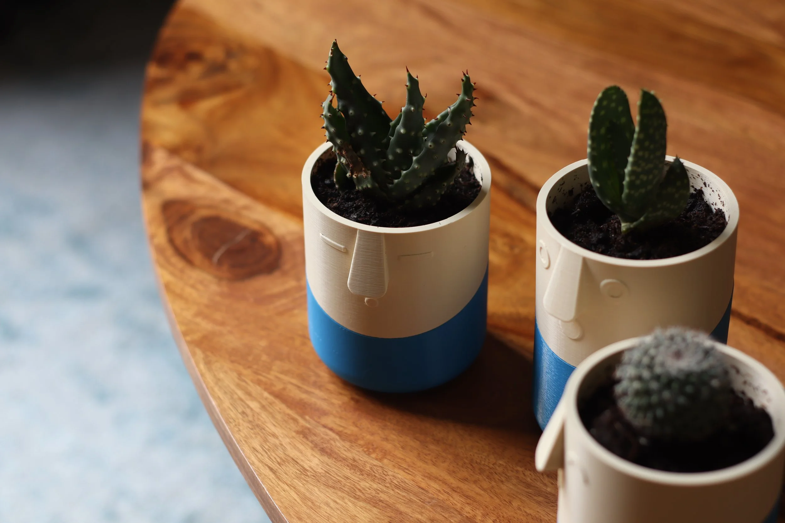 Happy Planter - Flowalistik 3.JPG