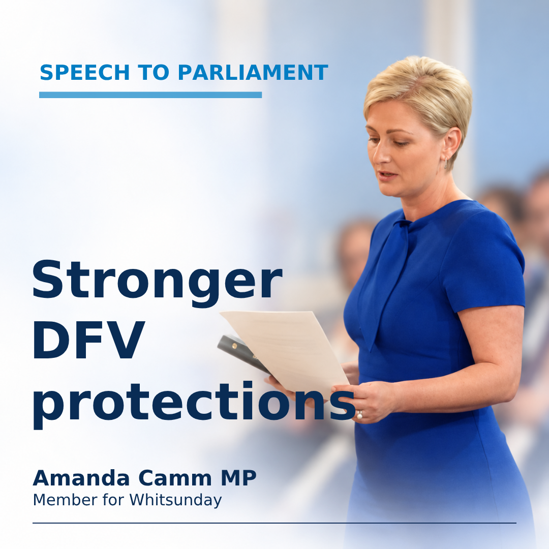 Stronger DFV Protections - Speech to Parliament