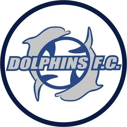 Dolphins Football Club logo