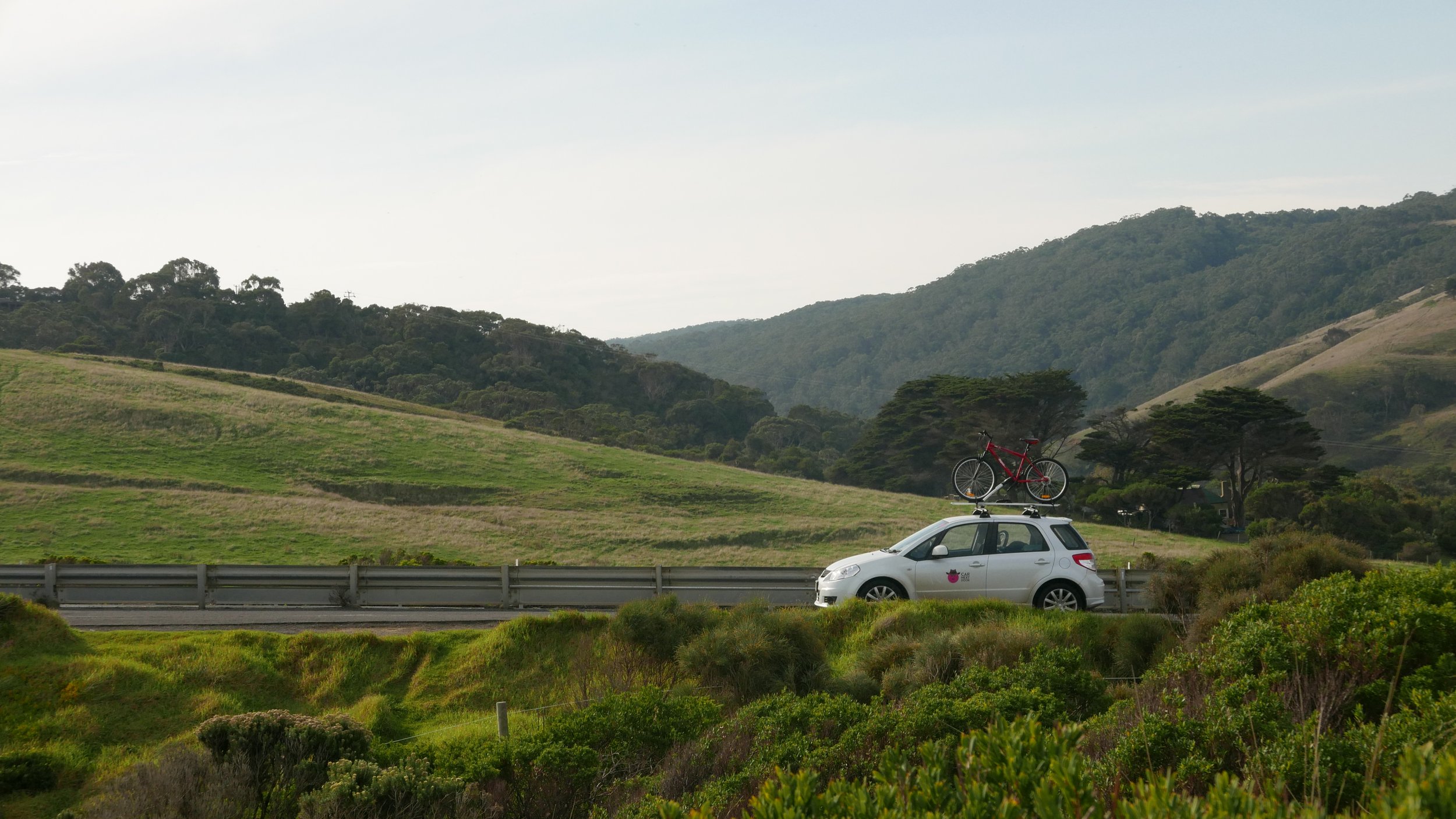 White Car Logo Country.JPG