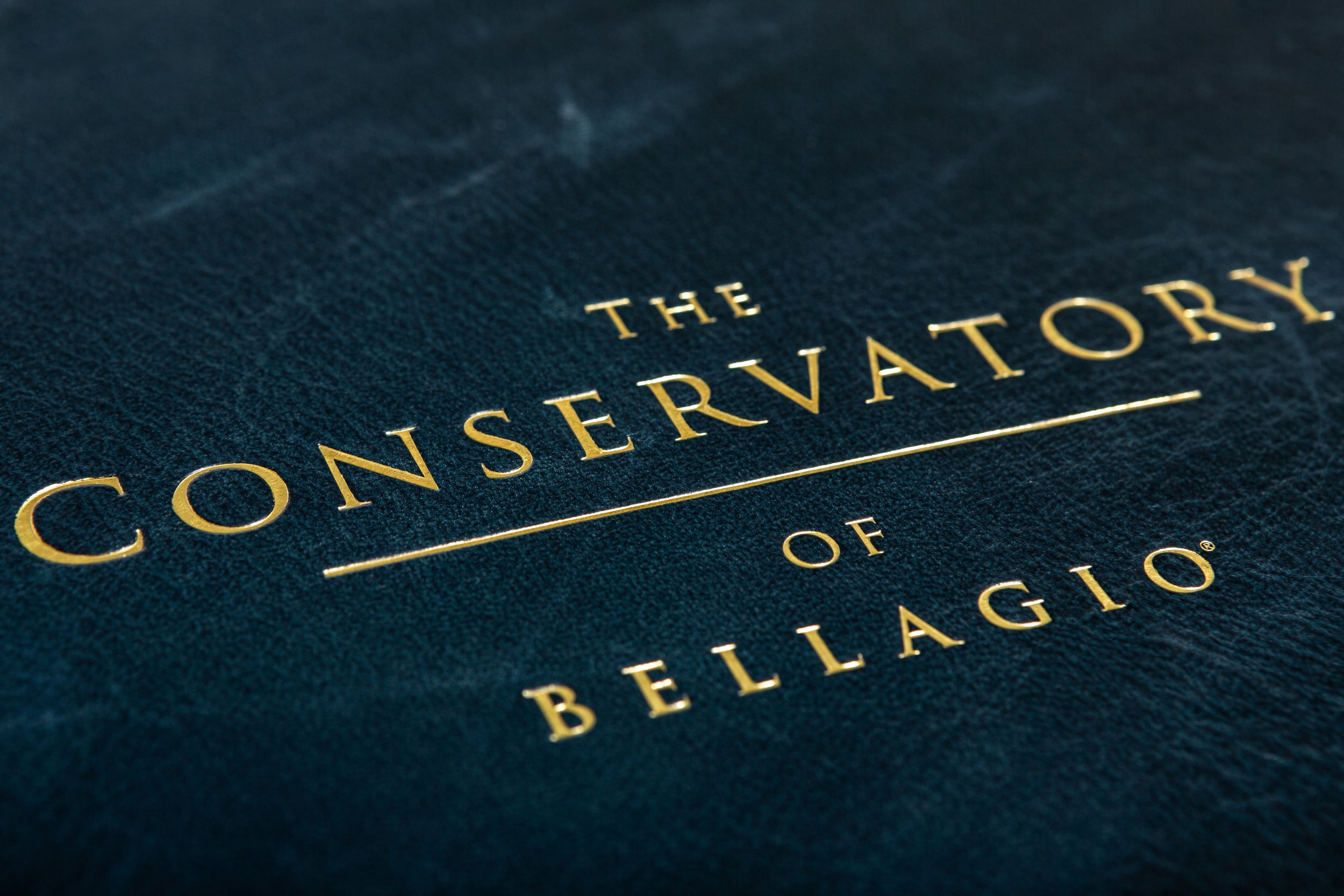 BEL_Conservatory-3.jpg