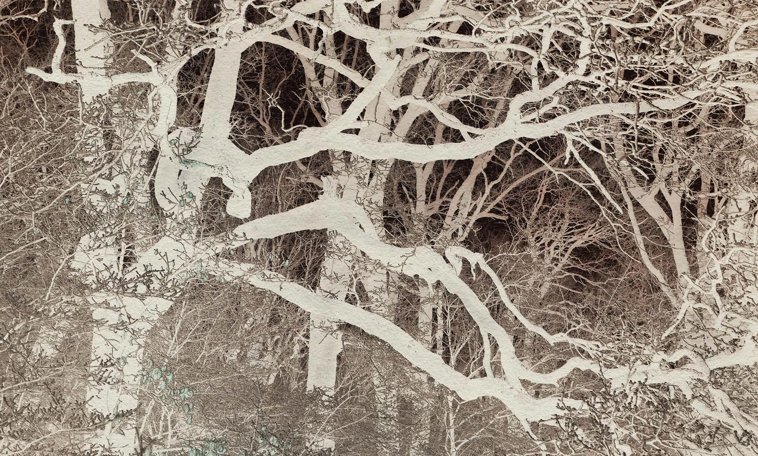 Nature Reversed II, 2023