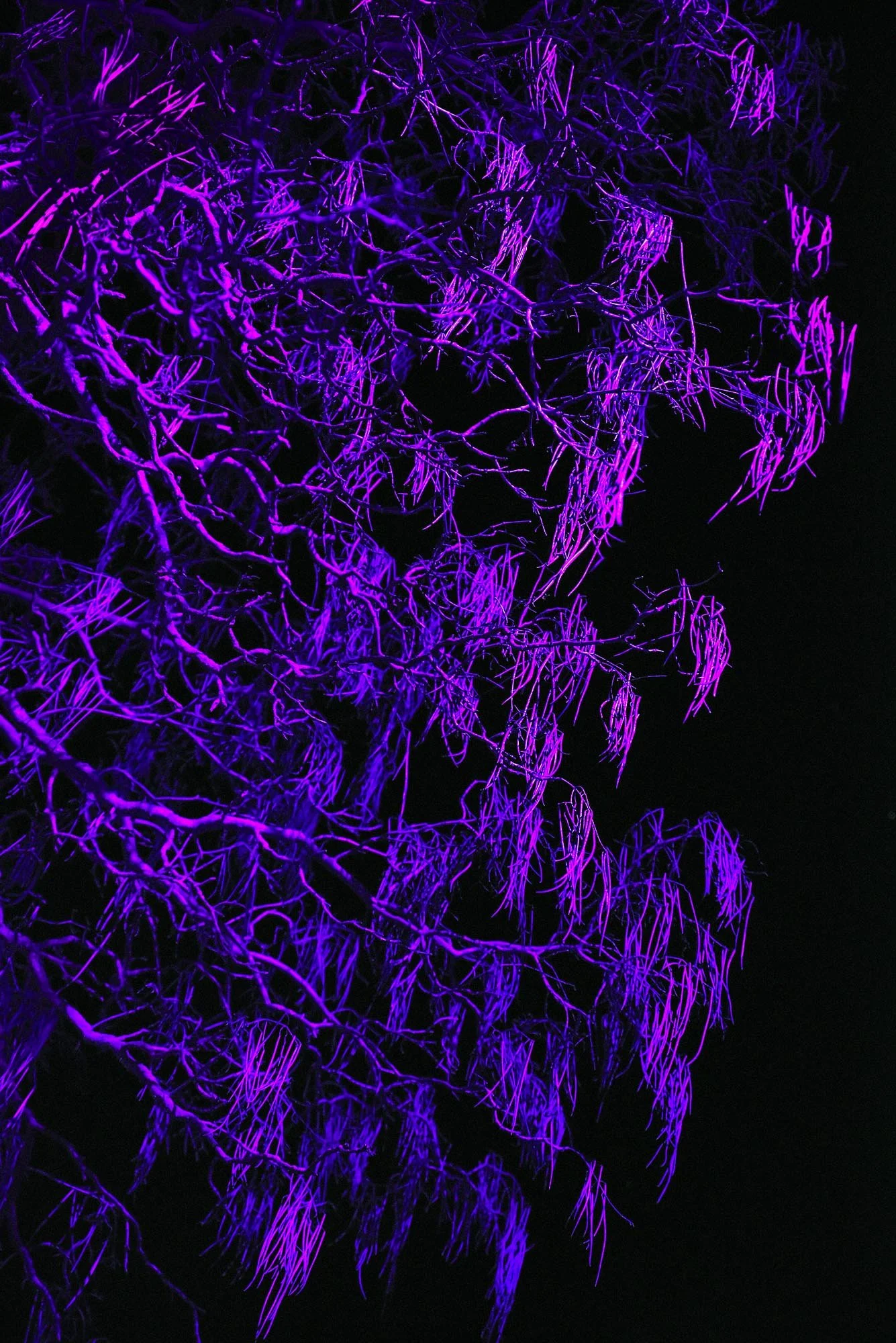 Lockdown Winter Nights #21, 2021, awarded at FAPA 2022, Professional Fine Art