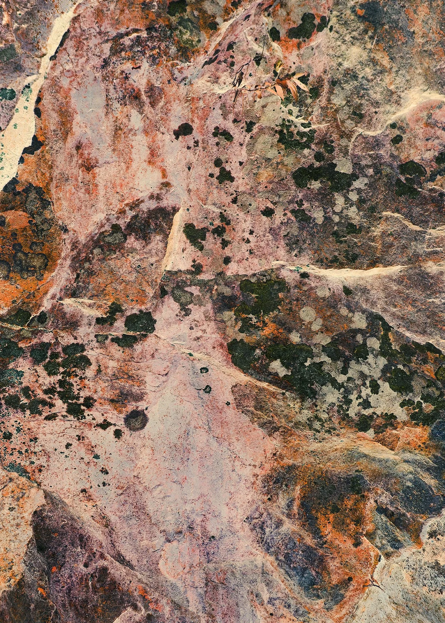 Hong Kong Rocks, Lugard Road #21