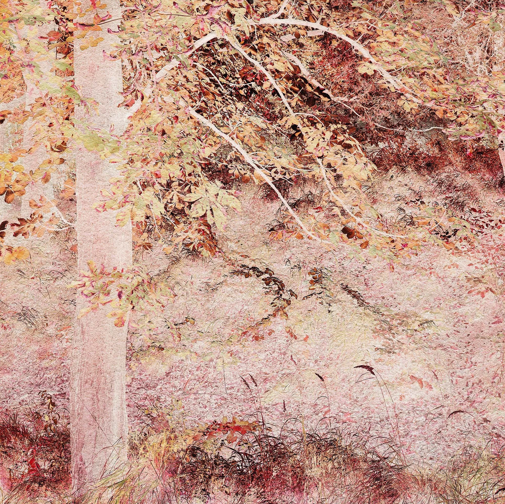 Nature Reversed #3, 2023, online competition gallery, LensCulture Art Photography Awards 2024