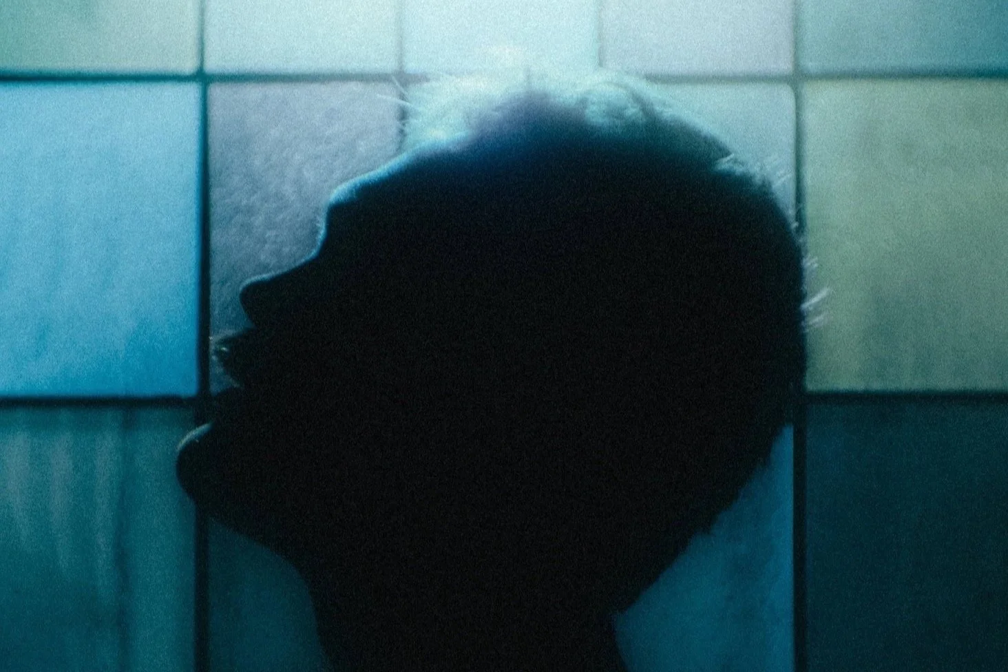 Neo-tilskot til Blåmann og Law of Attraction